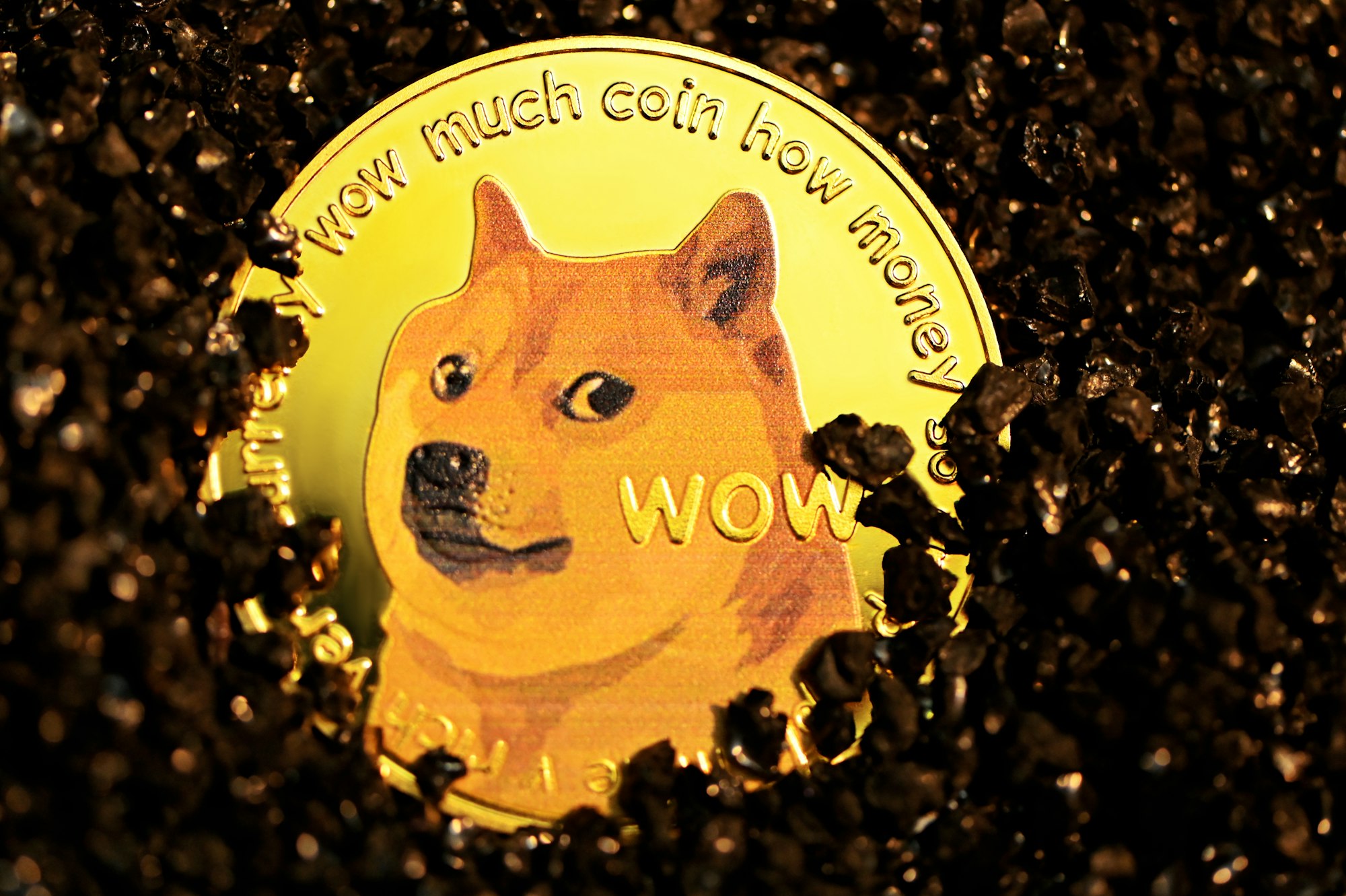 The meme coin "Doge" on black stones.