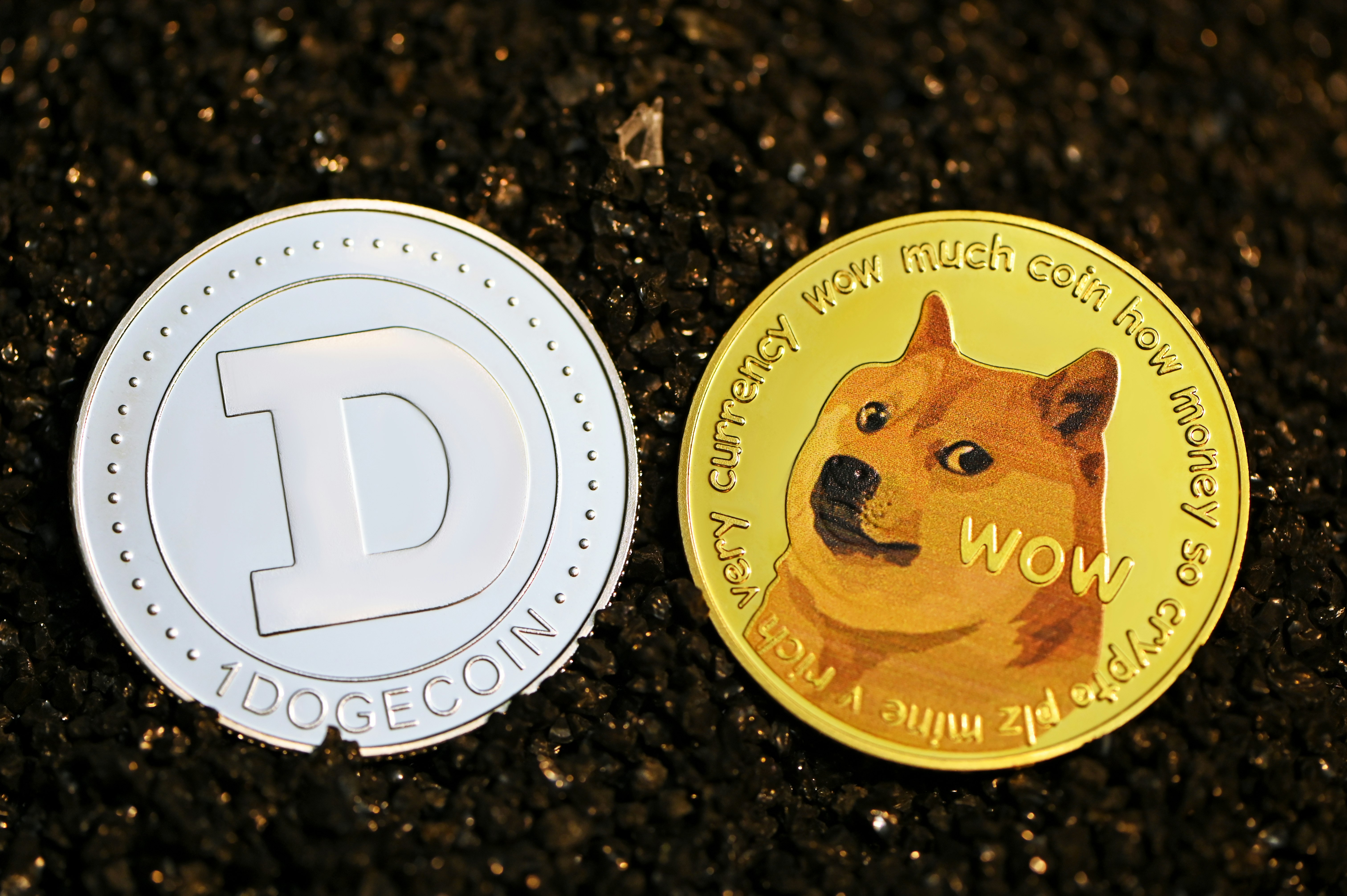 A pair of Dogecoin on black stones.