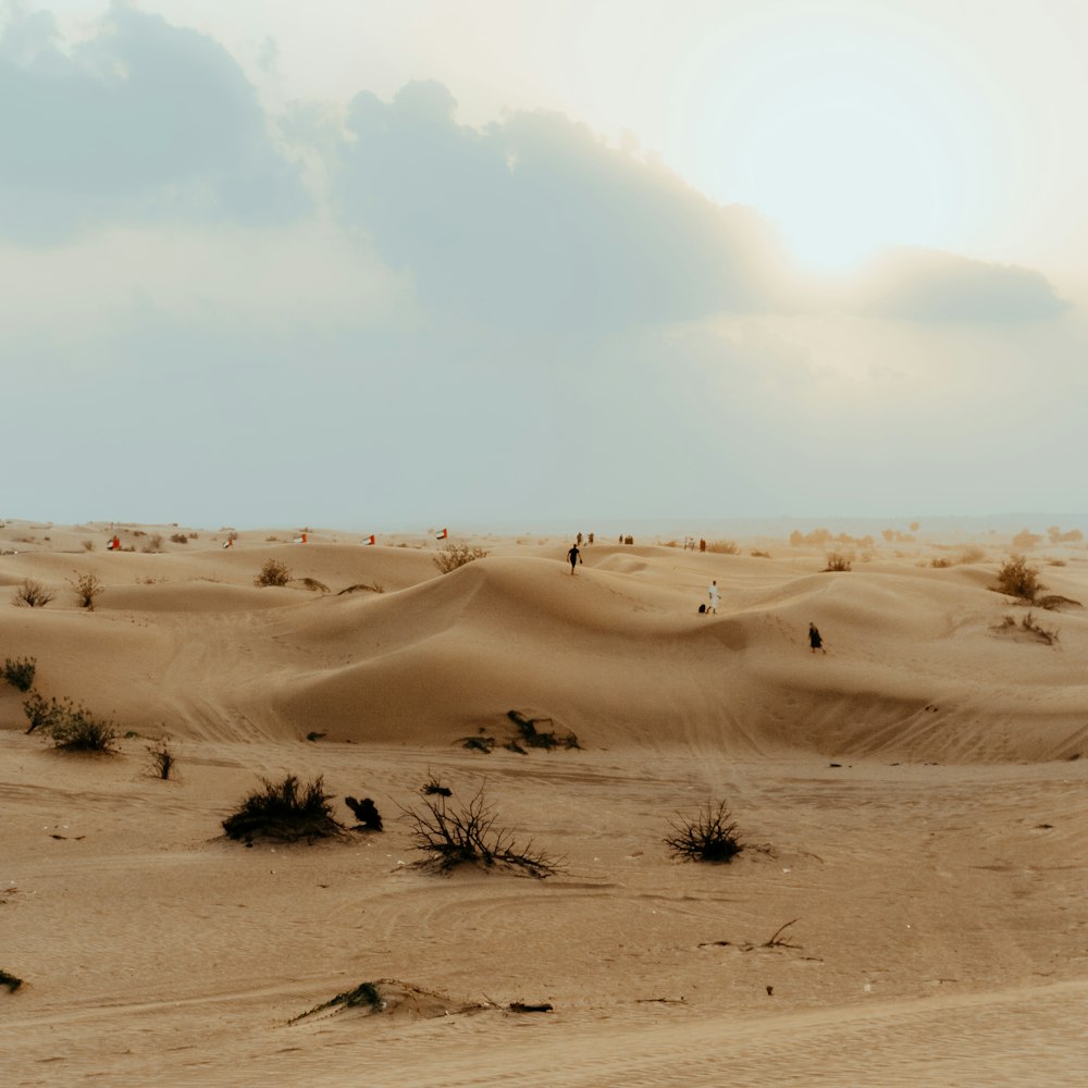 brown sand under blue sky during daytime