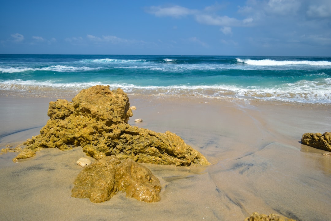 Beach photo spot Tulungagung Malang