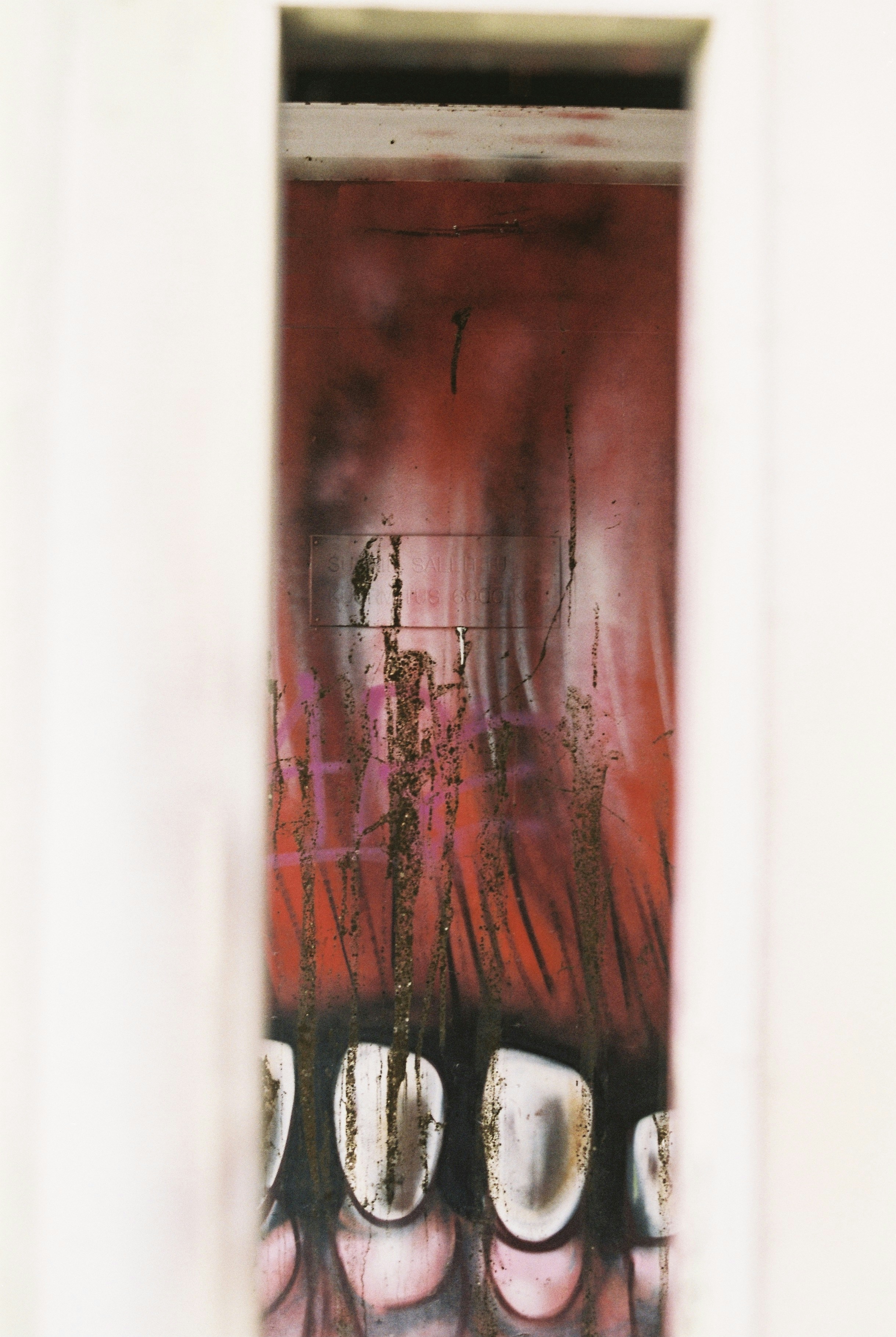 Photo by kallesaarinenmp4