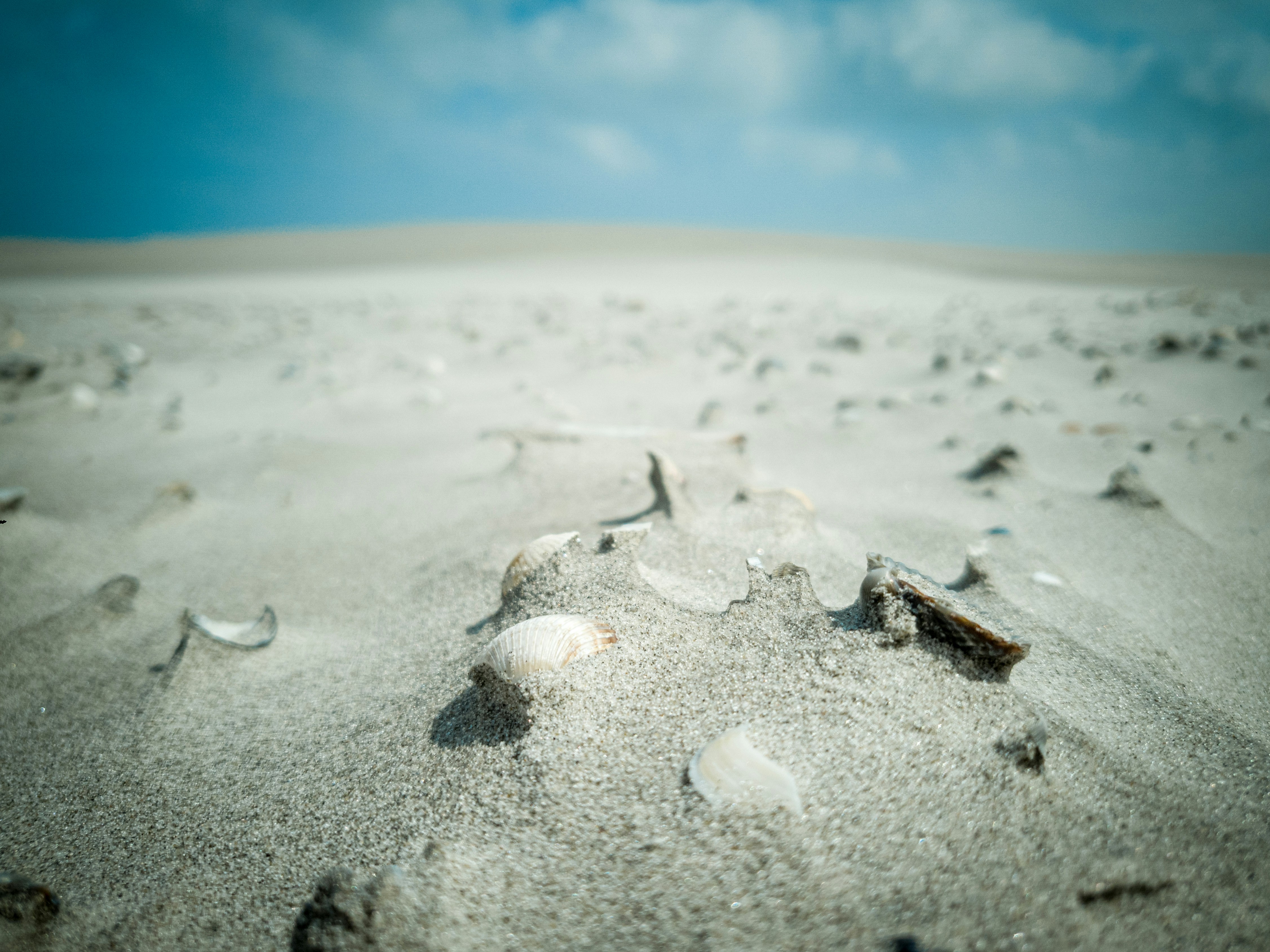 white sand with brown wooden stick