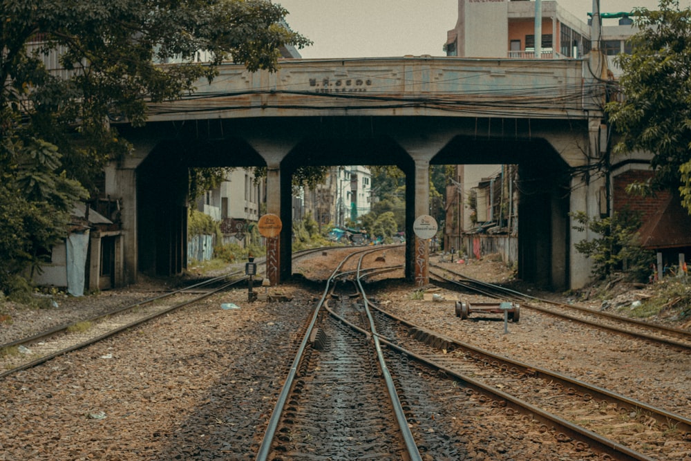 train rail tracks near green trees during daytime