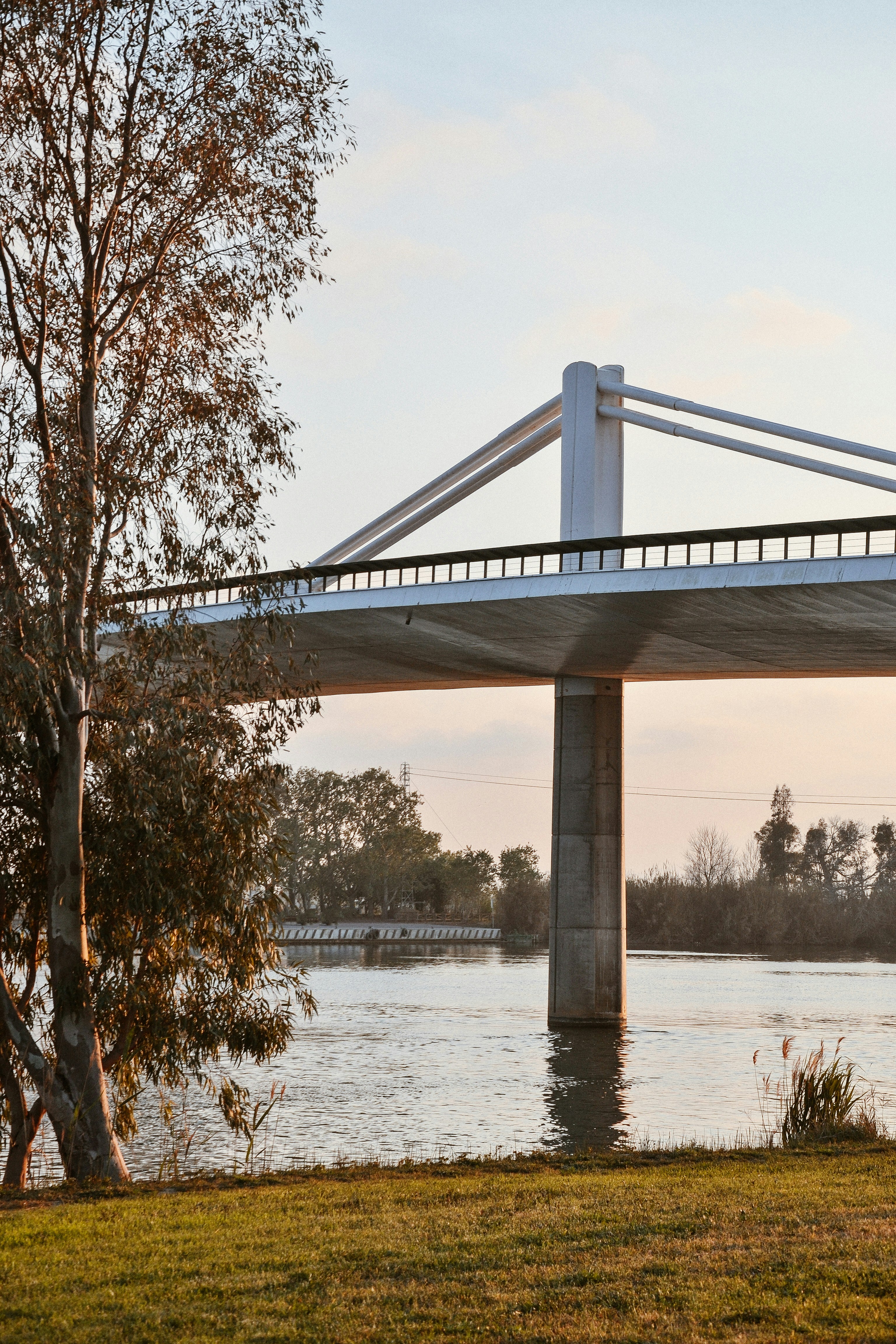 Puente Blanco sobre el río durante el día
