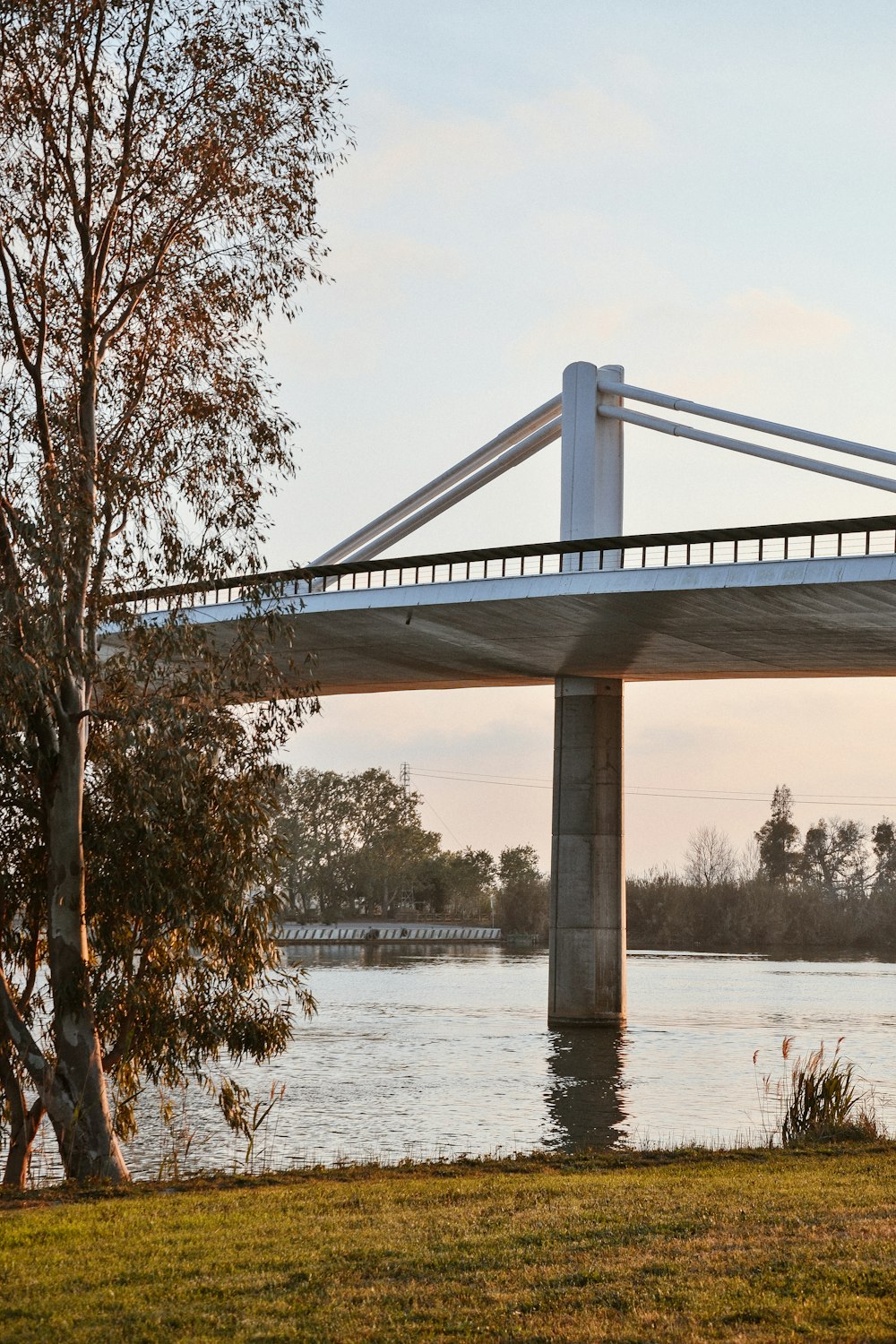 white bridge over river during daytime