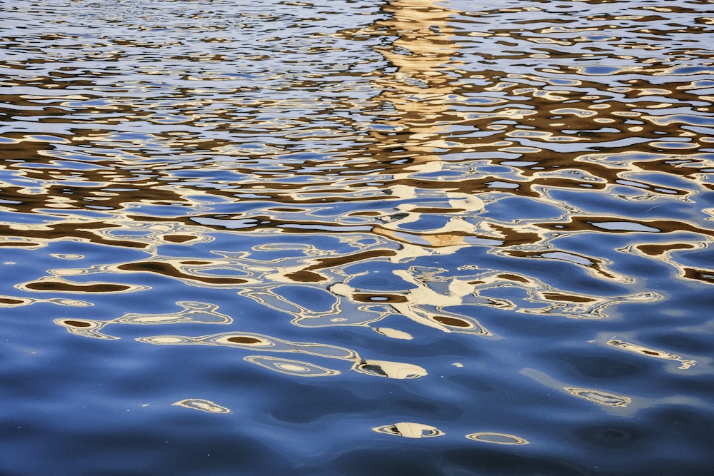 body of water during daytime