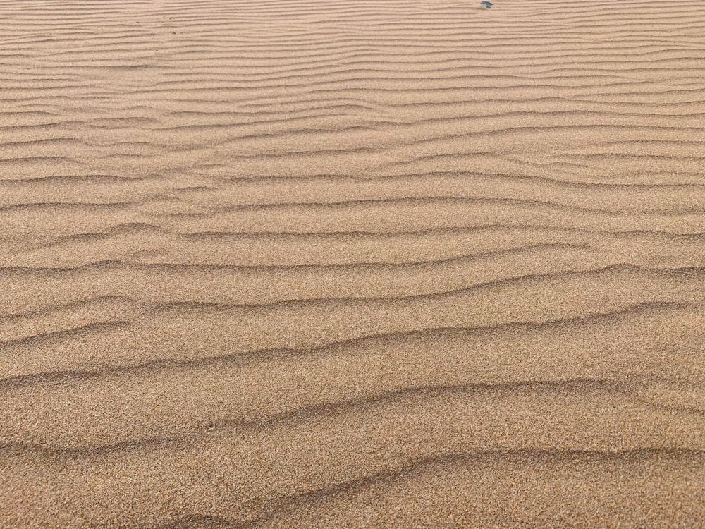 person walking on brown sand during daytime