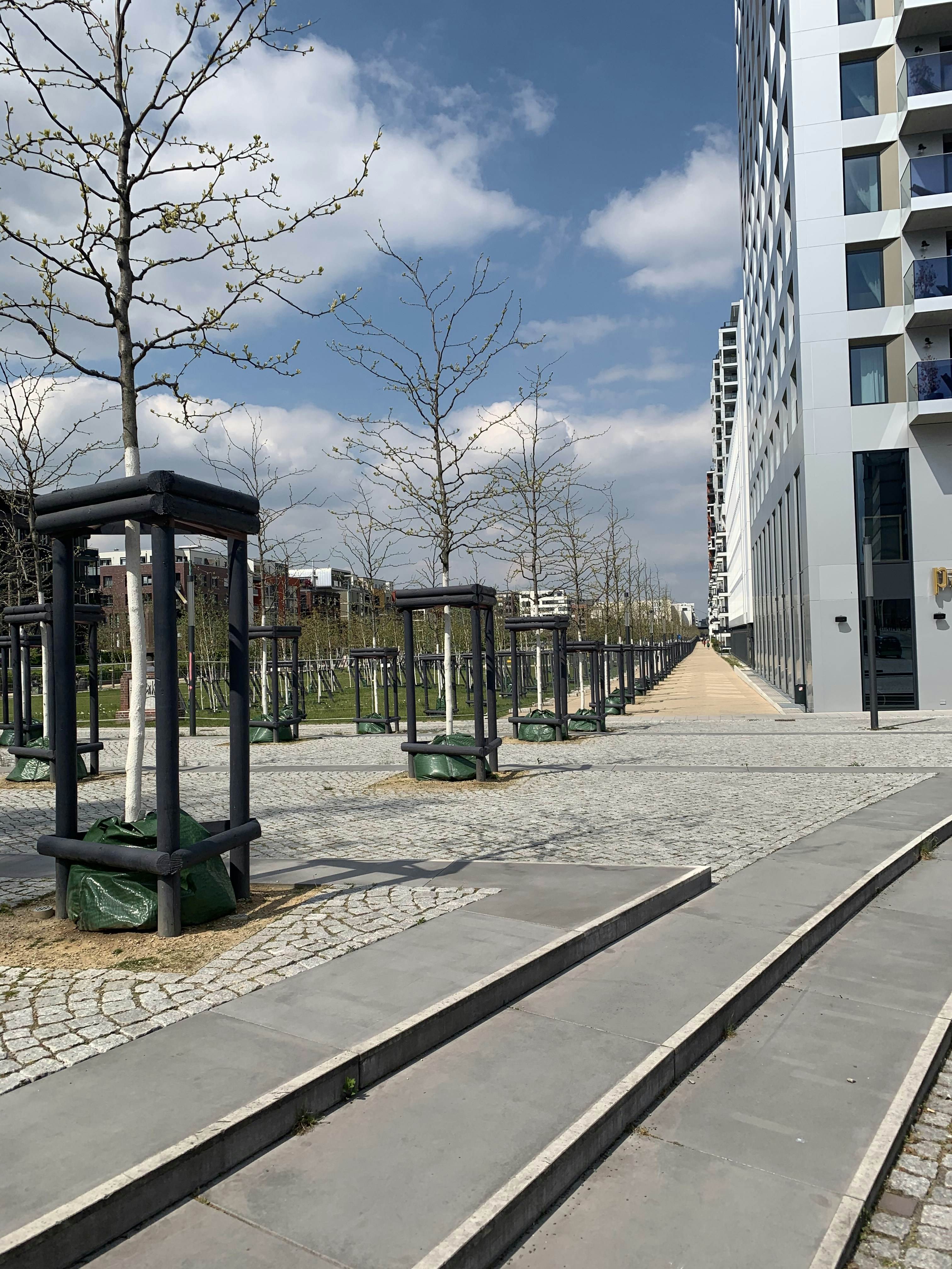 Photo by sarasadeghloo