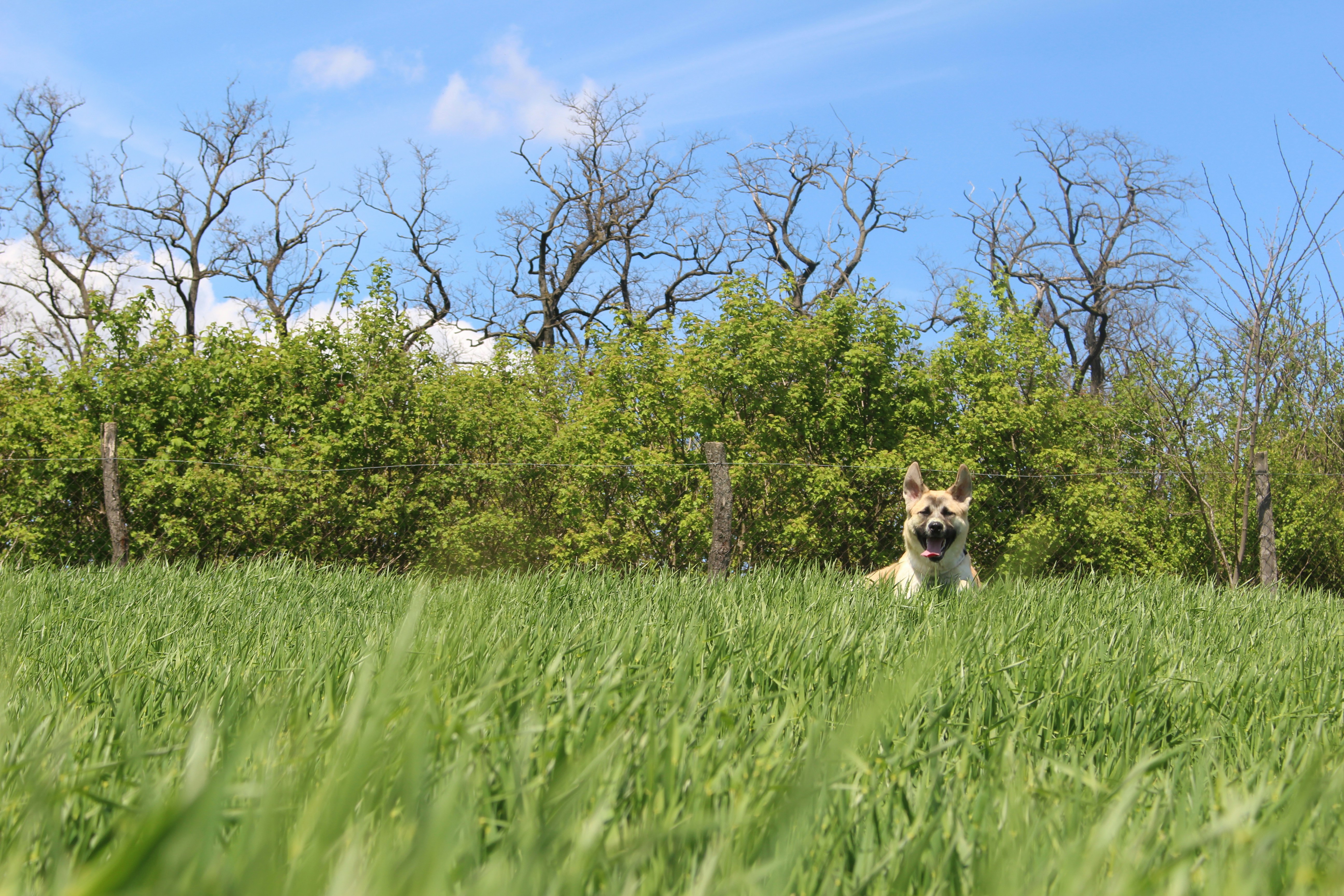 Photo by marjorylucabaxter