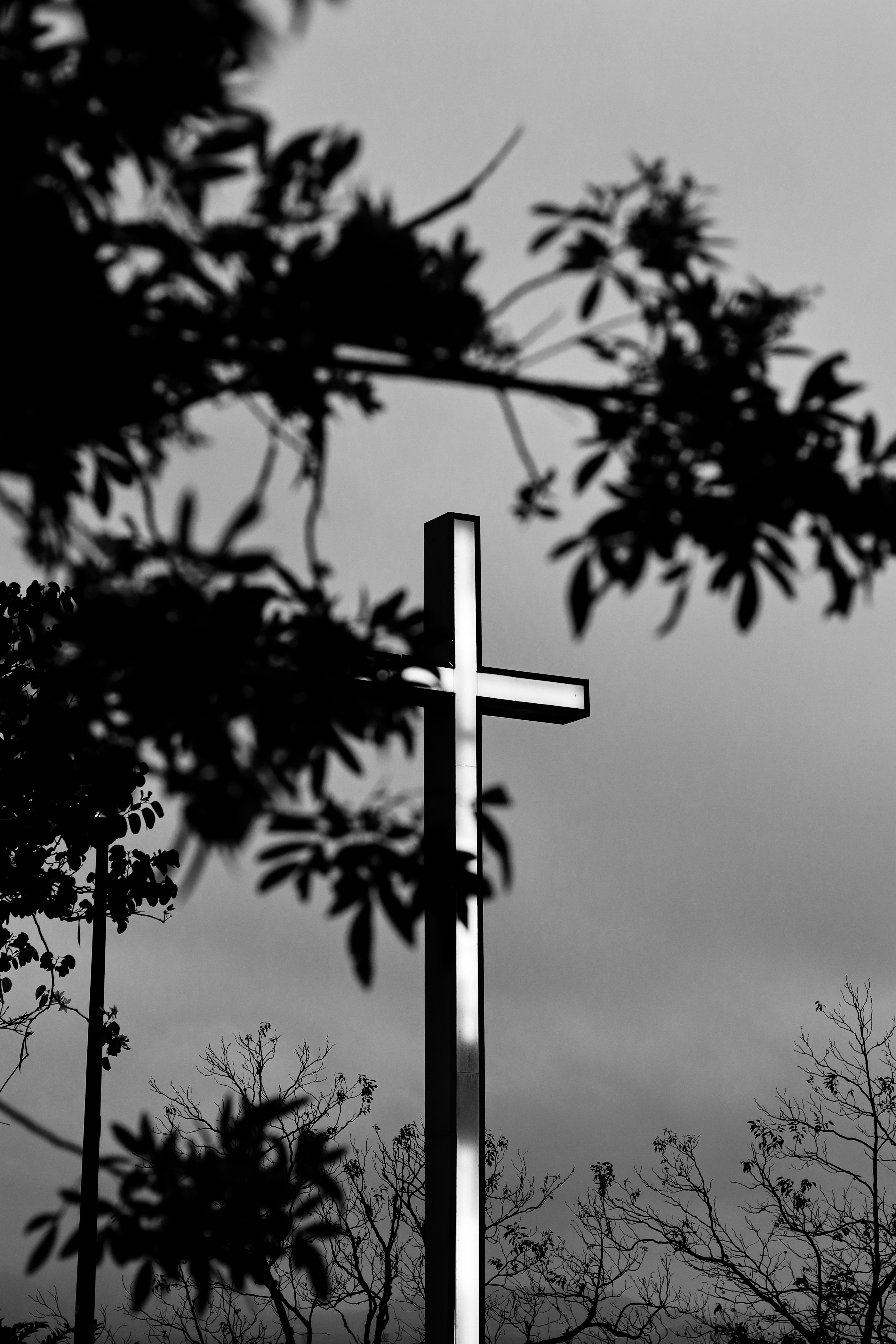 Photo by gabrielfotos