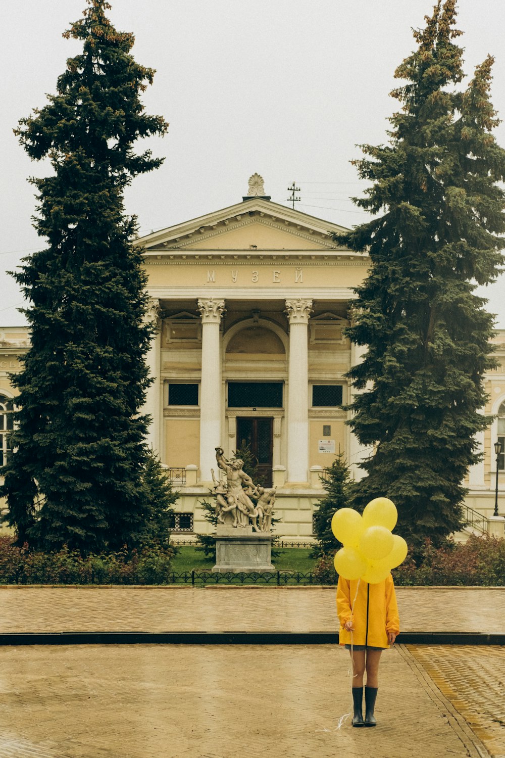 yellow flower on green tree near white concrete building during daytime