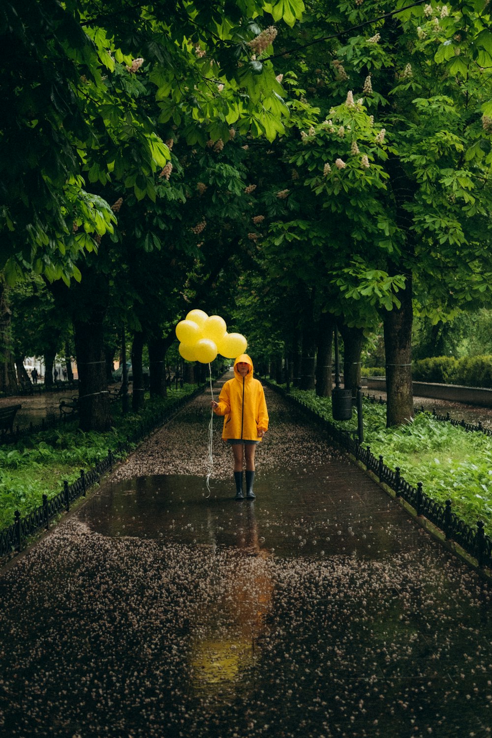 woman in yellow umbrella walking on pathway