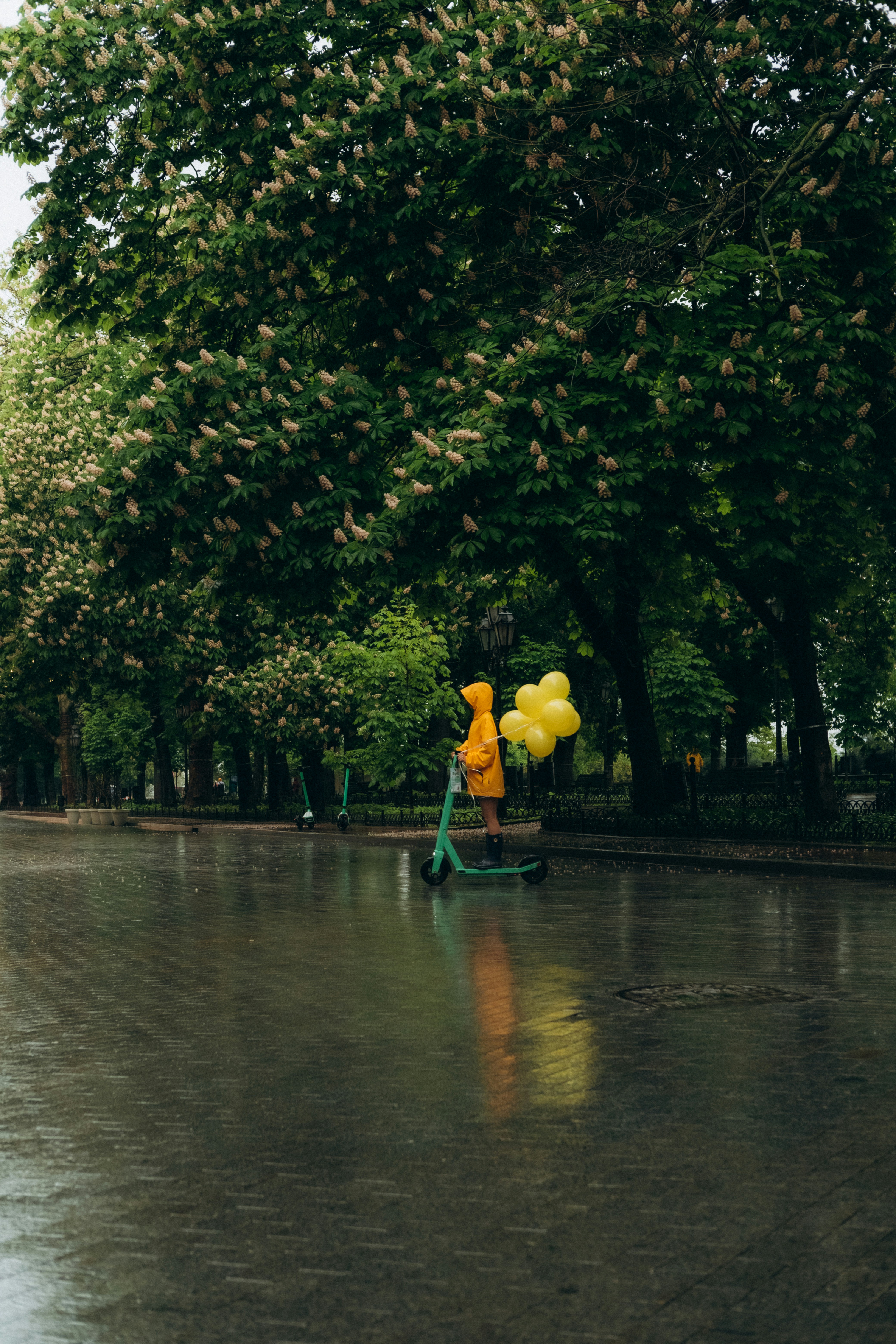 Photo by yana_hurska