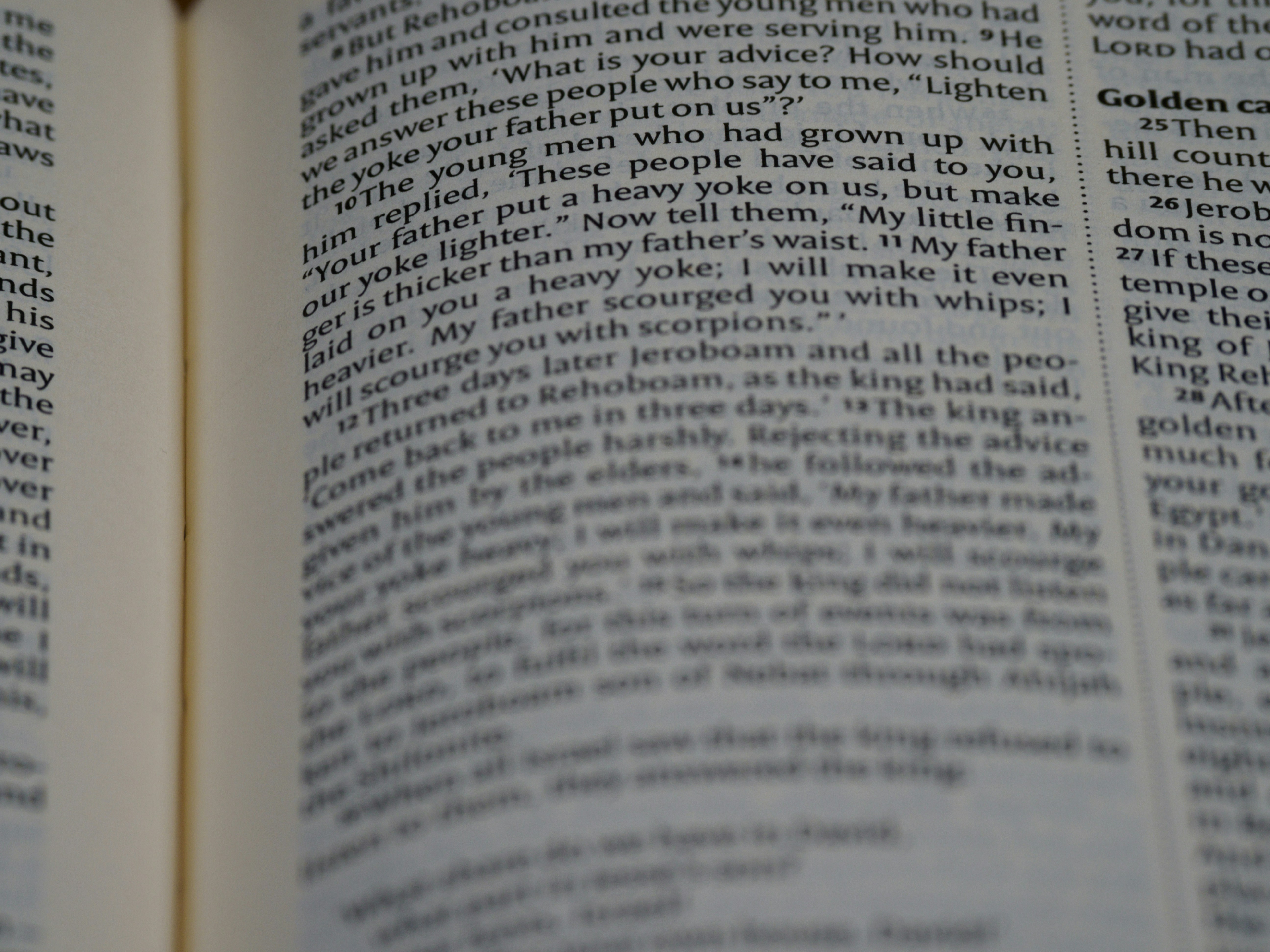 Photo by brett_jordan