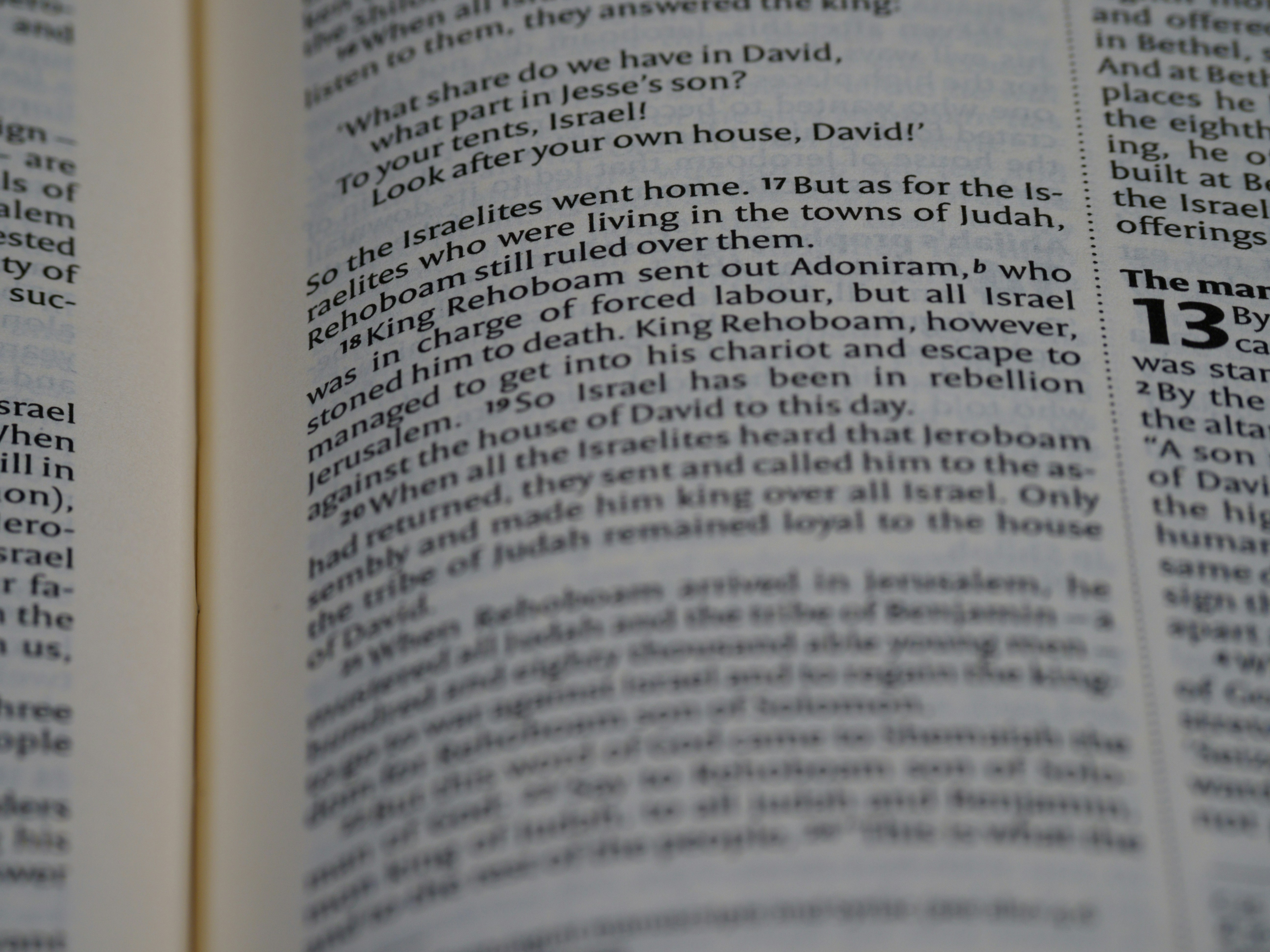 Photo by brett_jordan