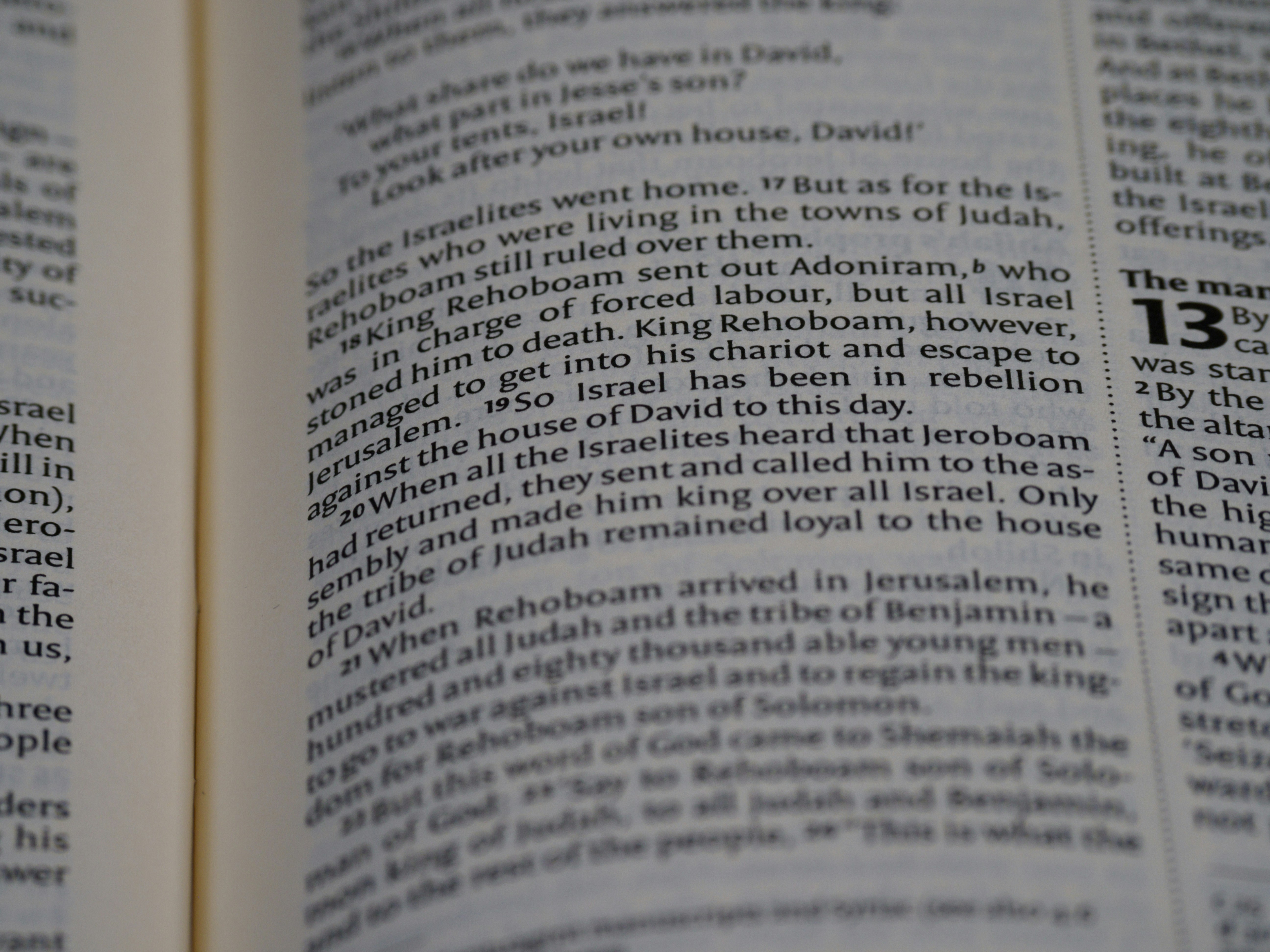 Photo by brett_jordan