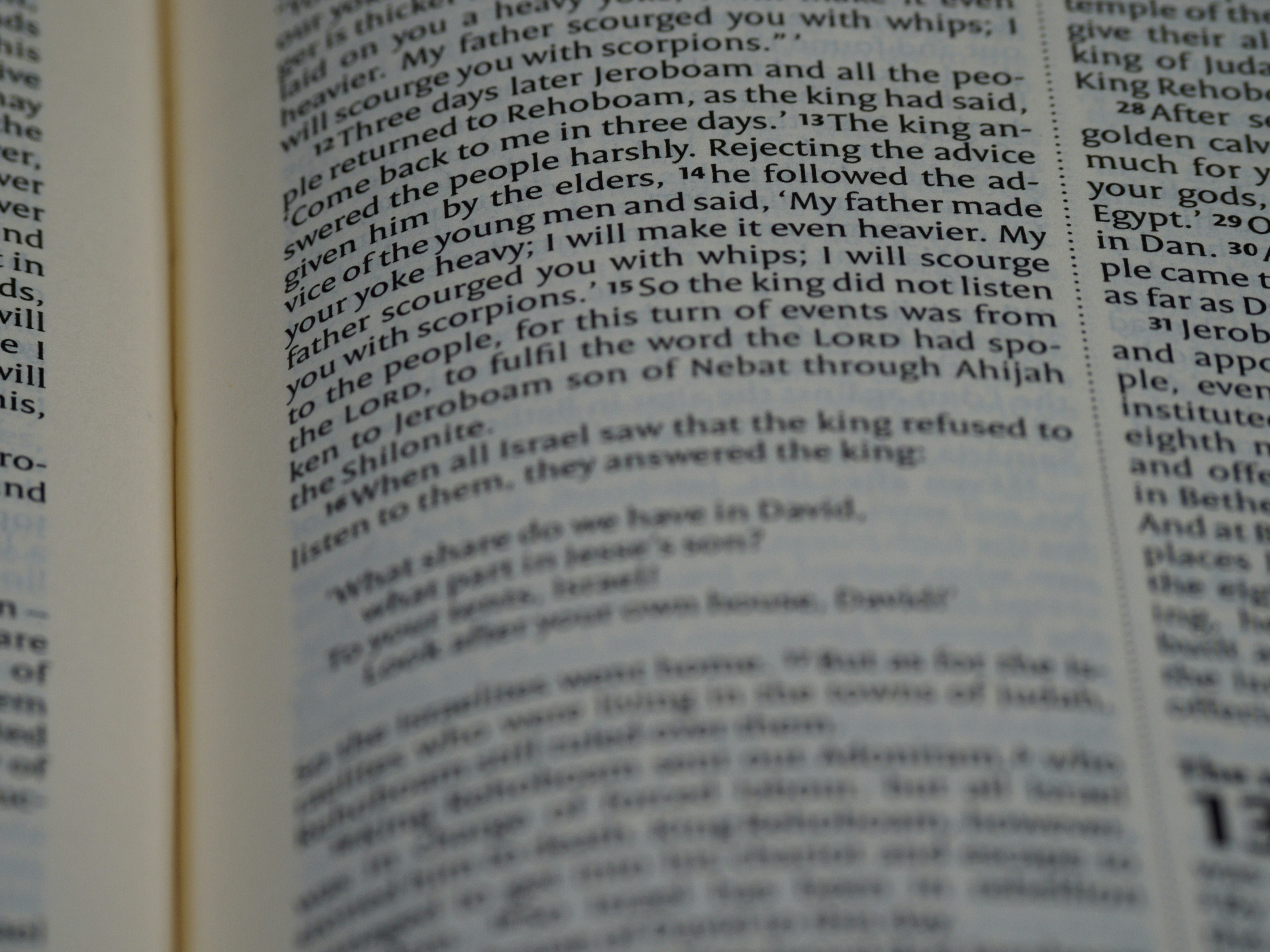 Photo by brett_jordan