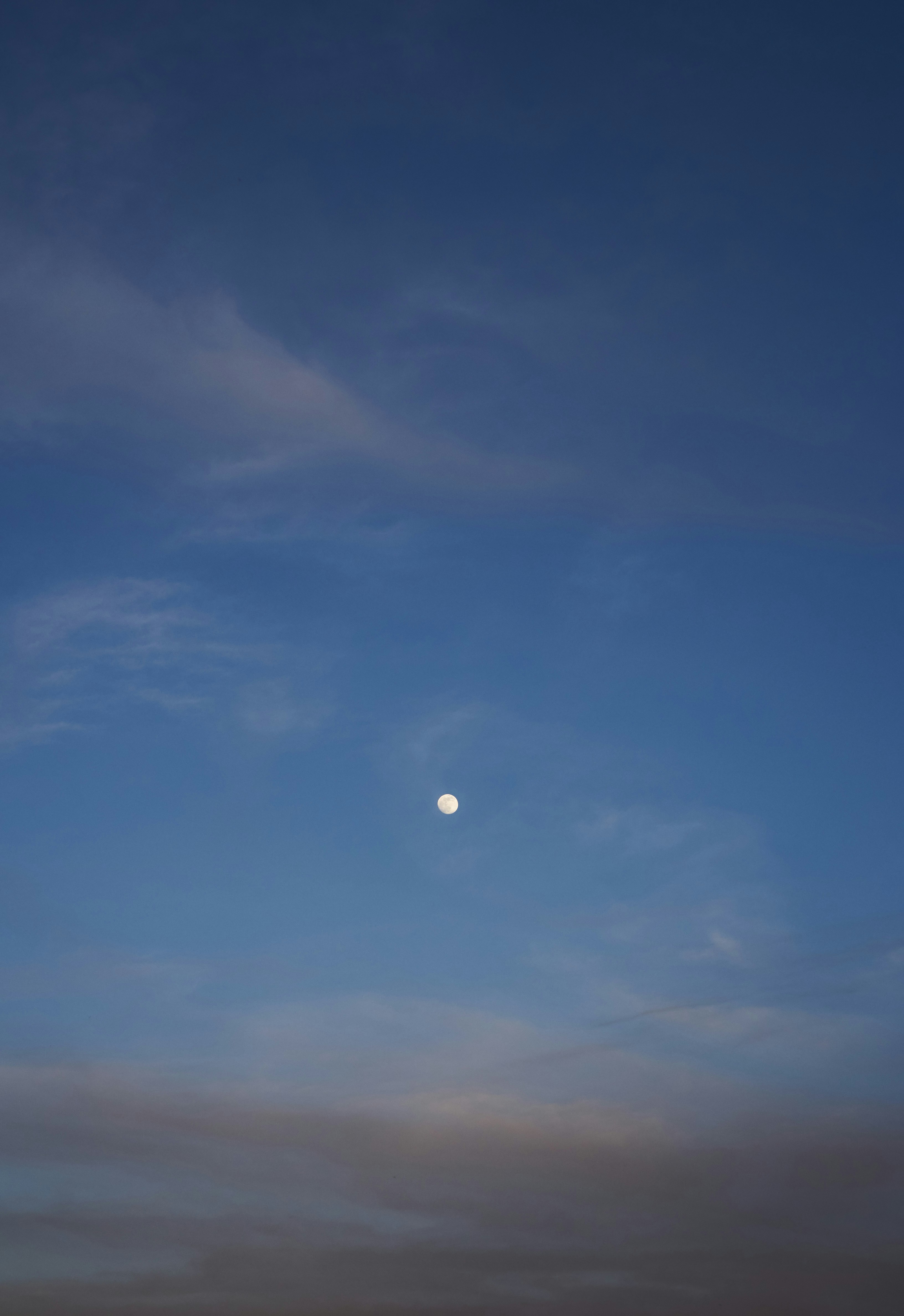 Photo by victor_vector