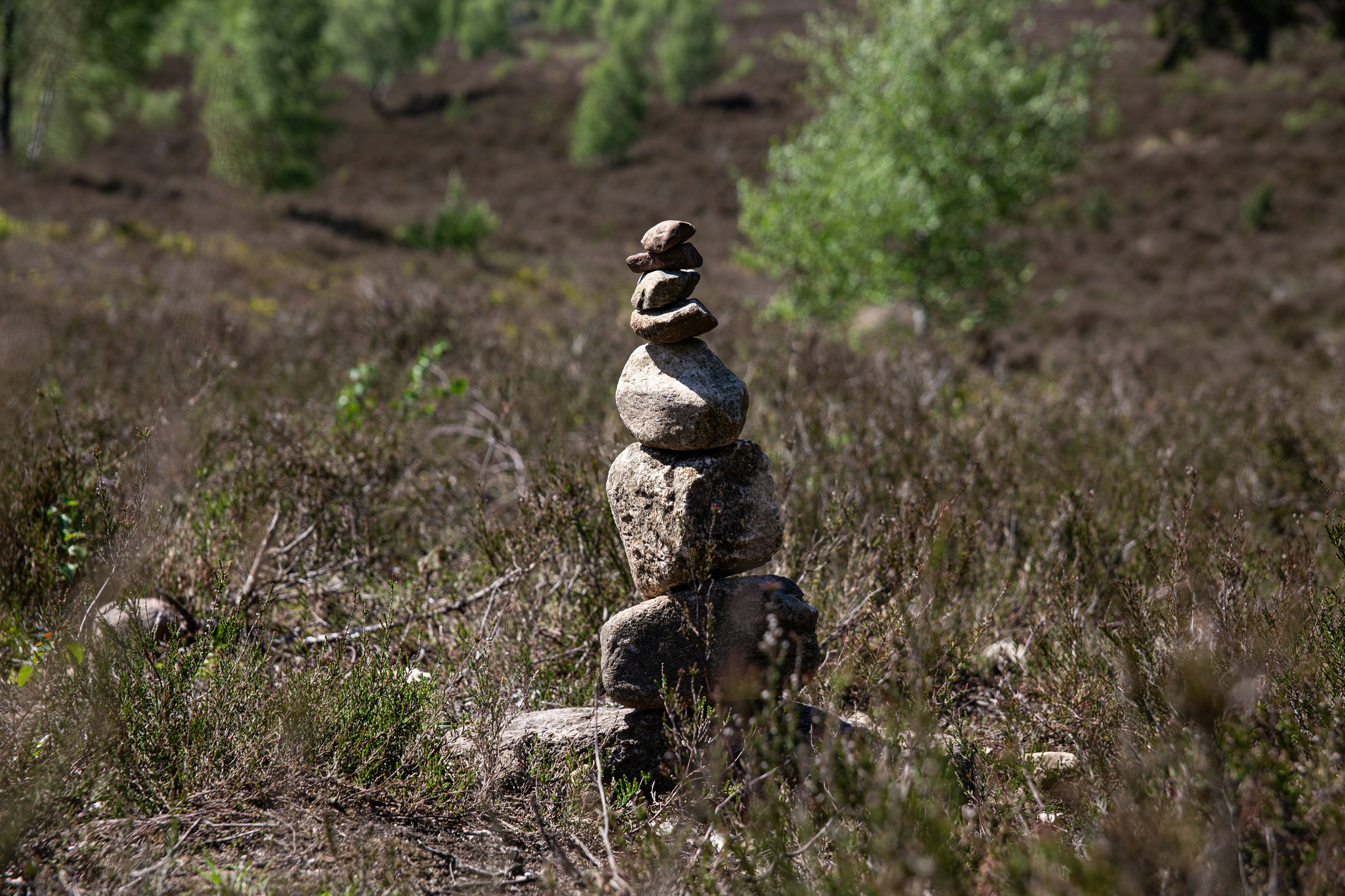 pietra grigia e nera su erba verde durante il giorno