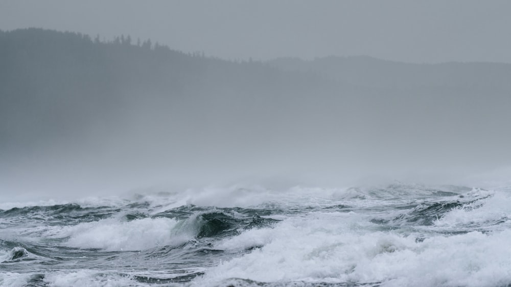 Le onde dell'oceano si infrangono sulla riva durante la nebbia