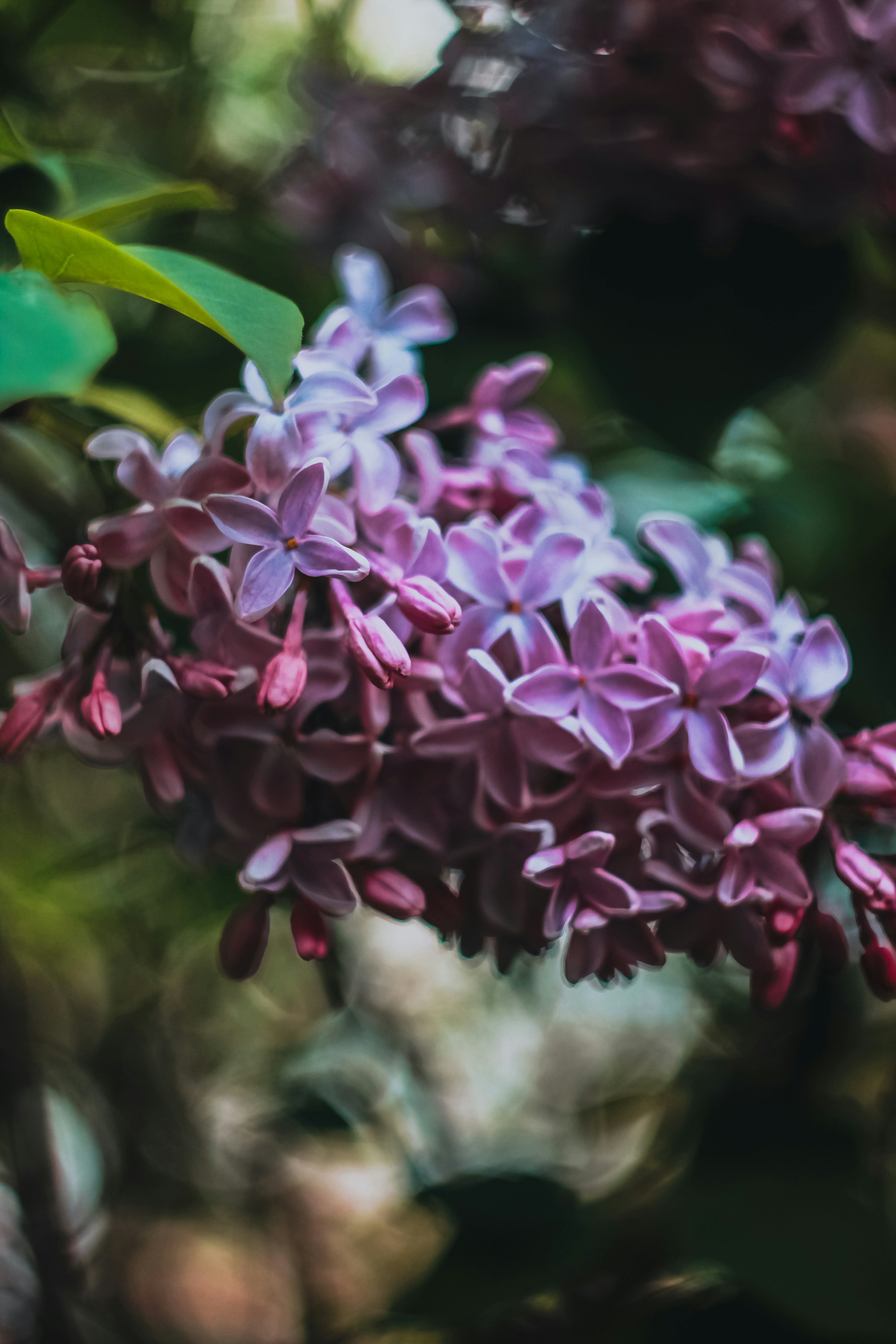 Photo by hls44