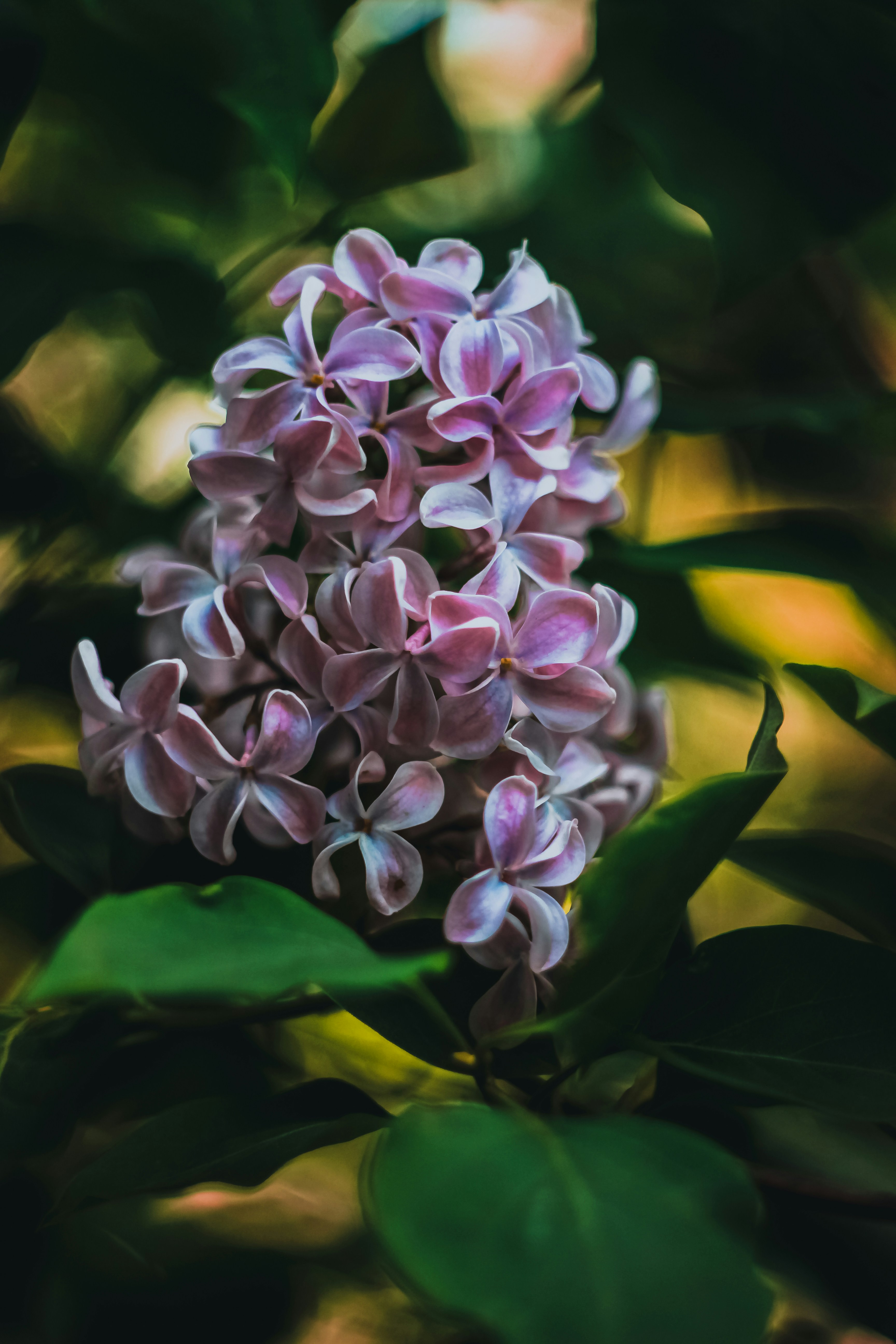 Photo by hls44