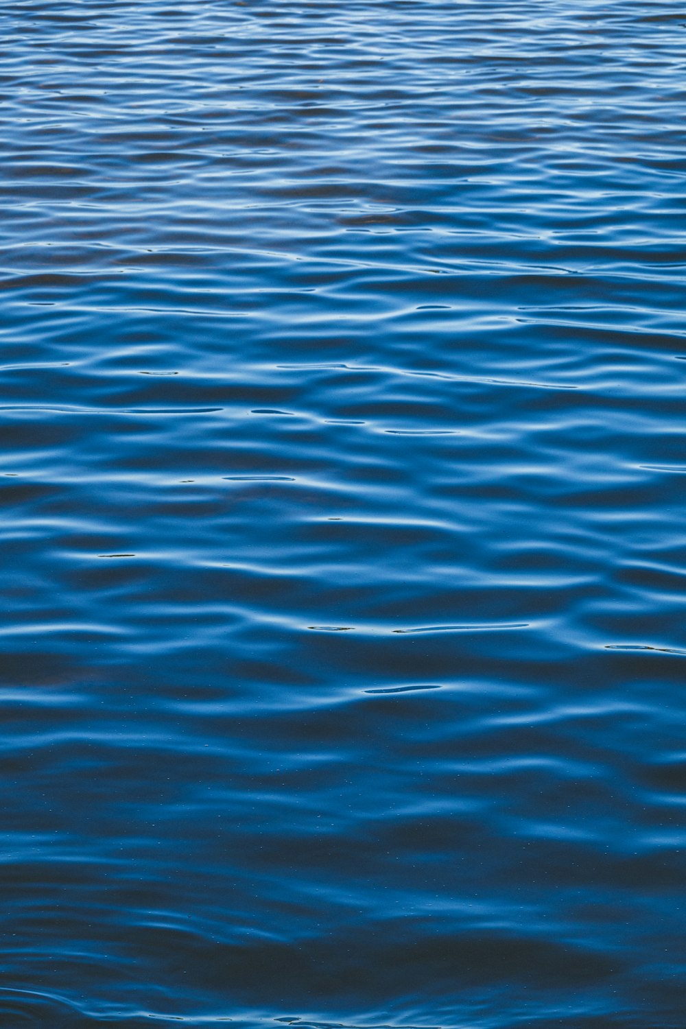 specchio d'acqua blu durante il giorno