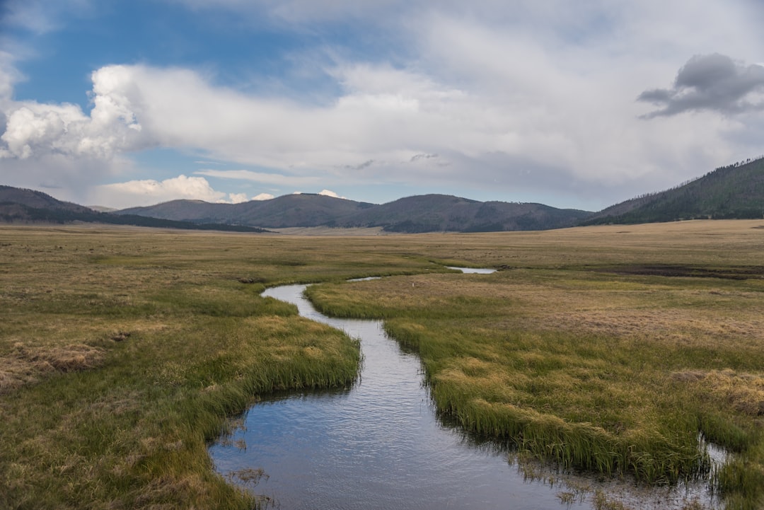 green grass field near lake under white clouds during daytime