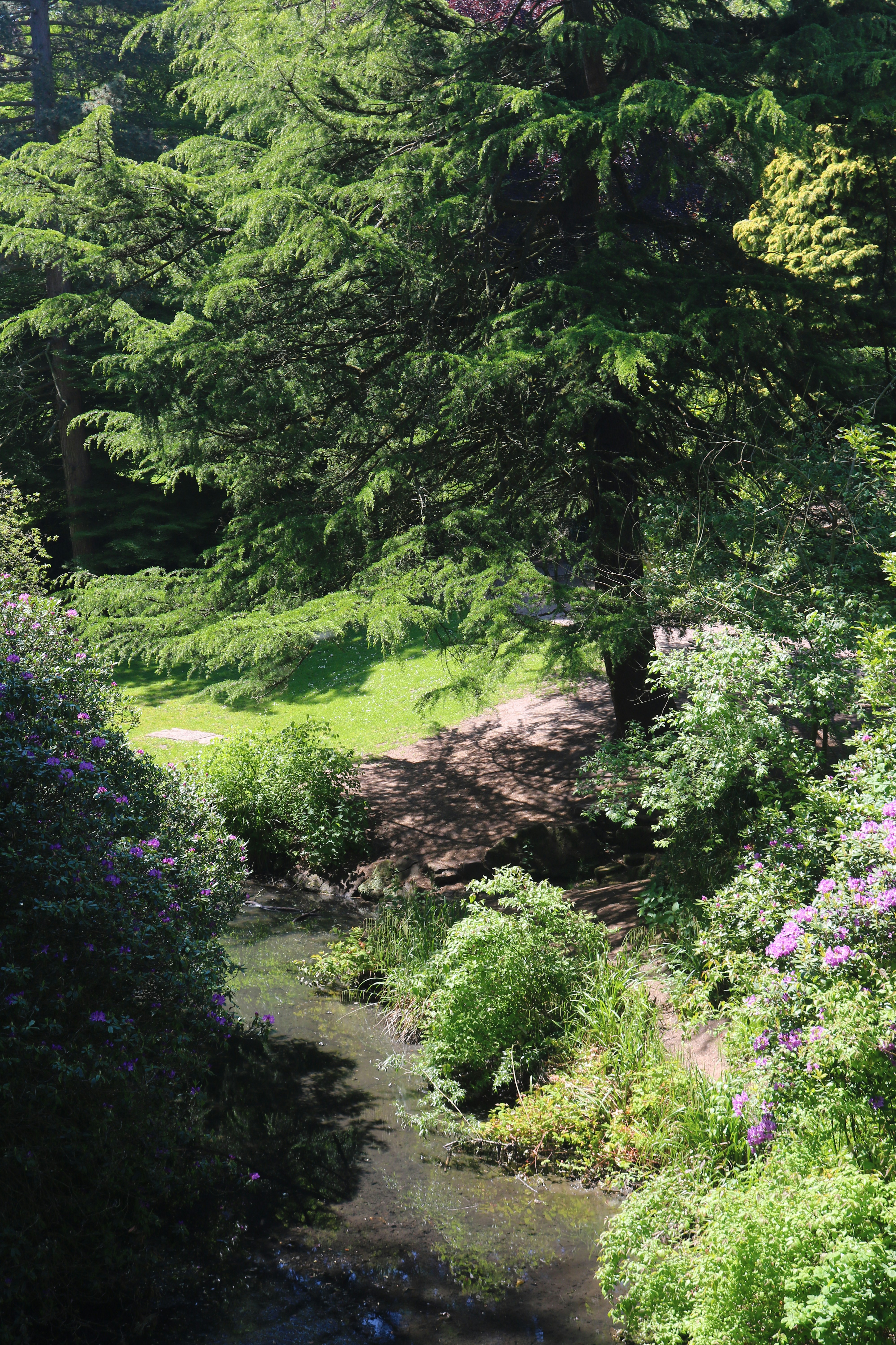 sefton park liverpool