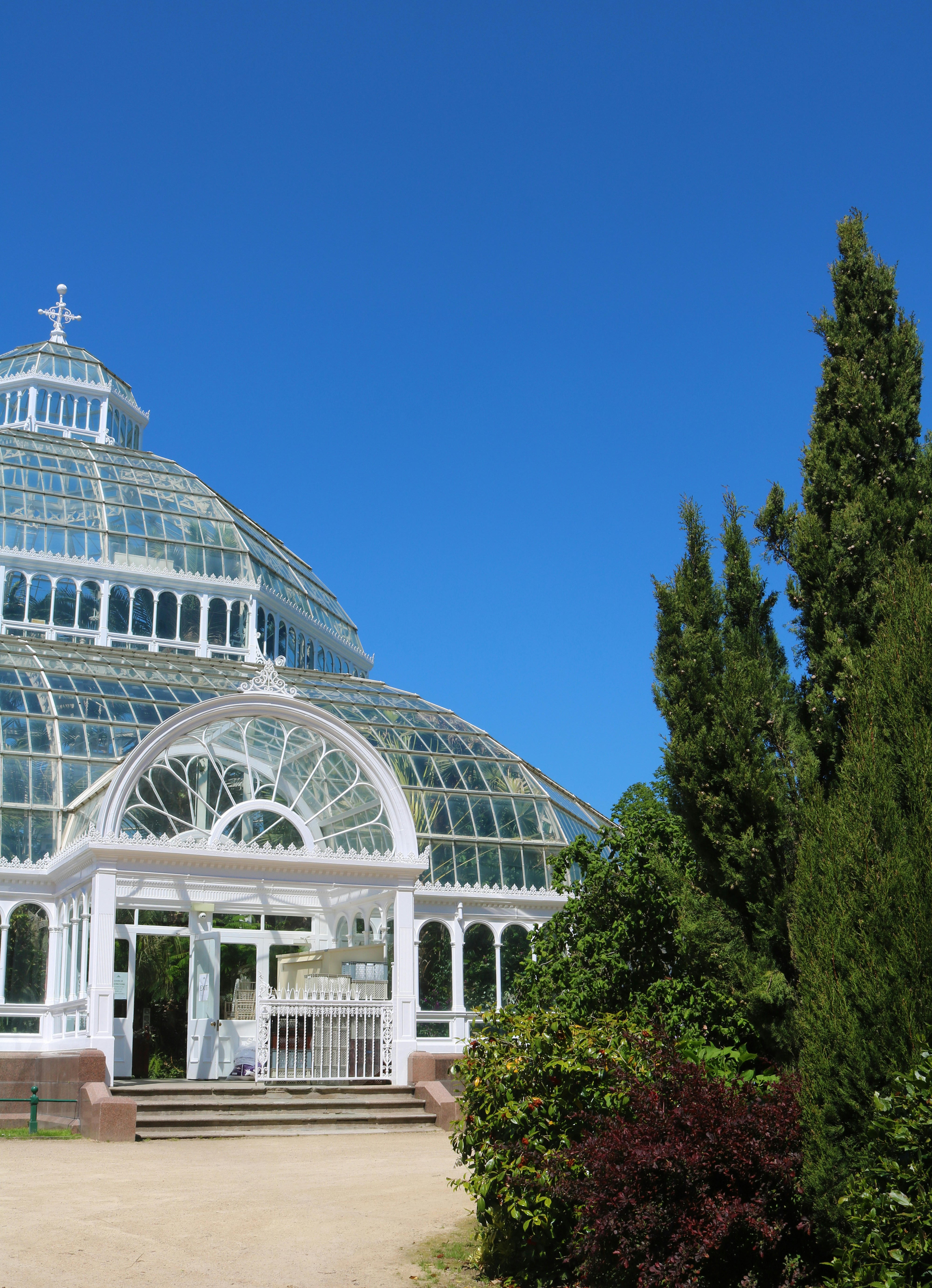 Photo by bobdobelina