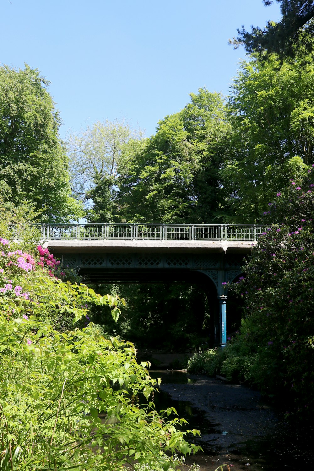 white bridge over river surrounded by green trees during daytime