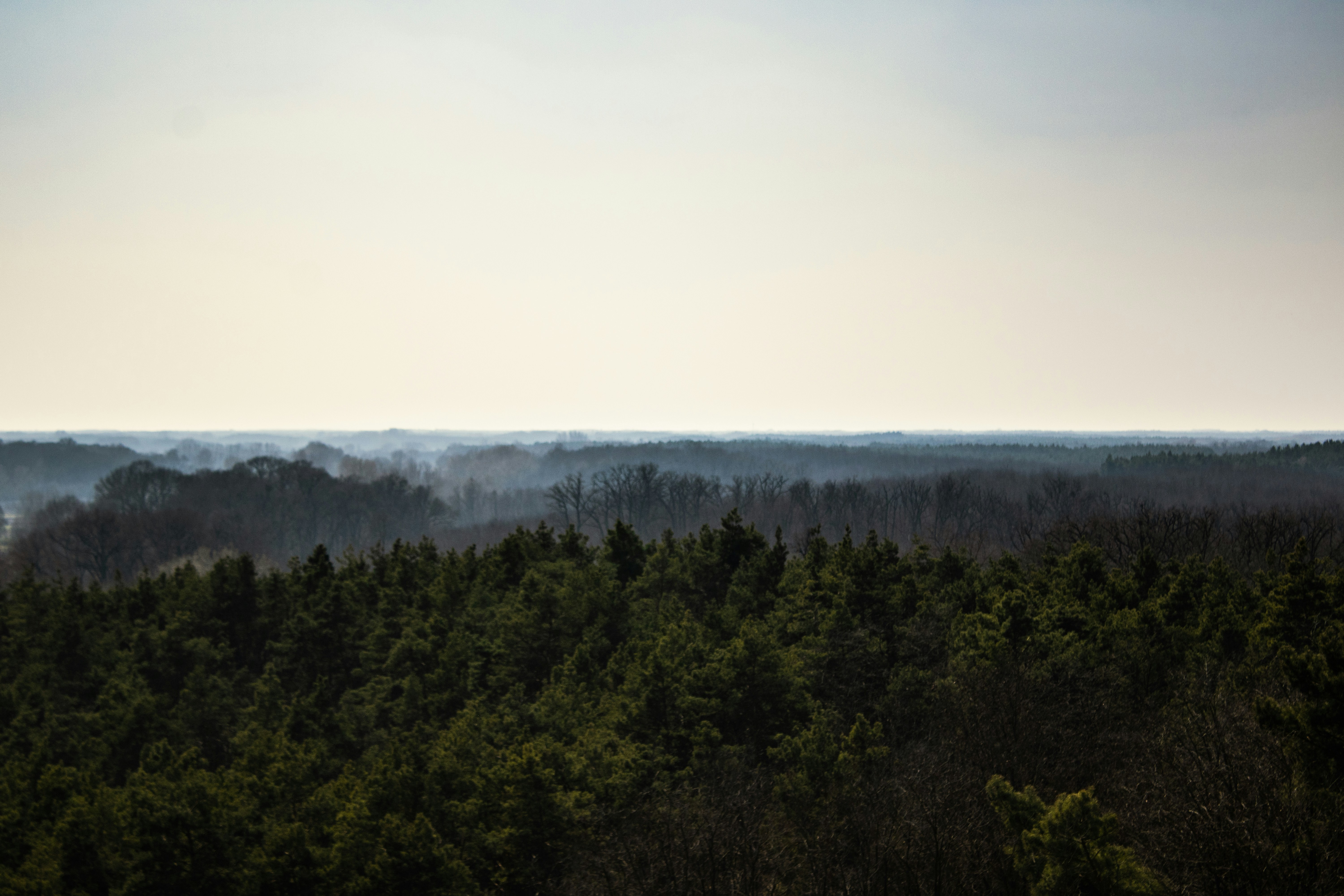 Debrecen travel photo