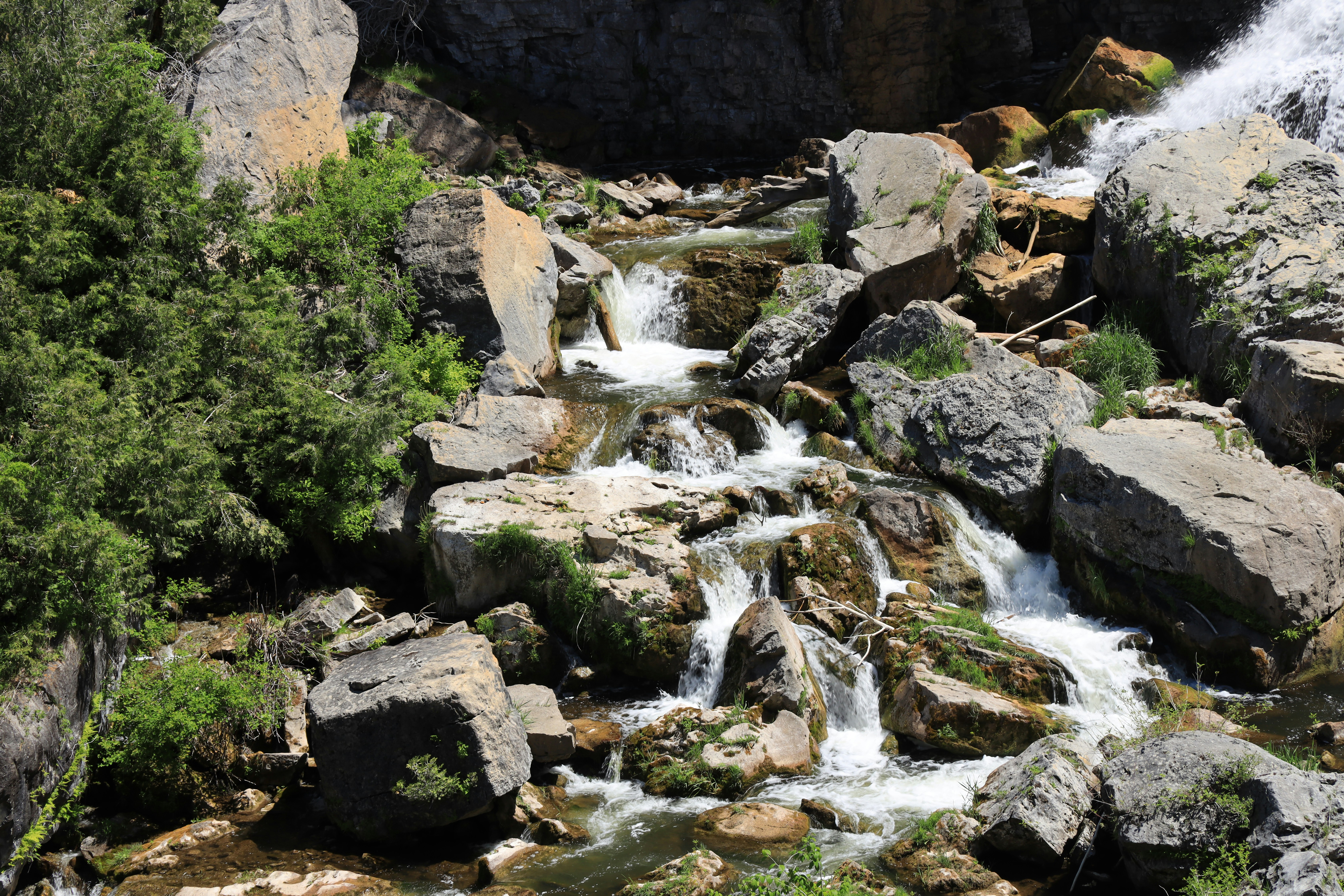 Photo by richardworks