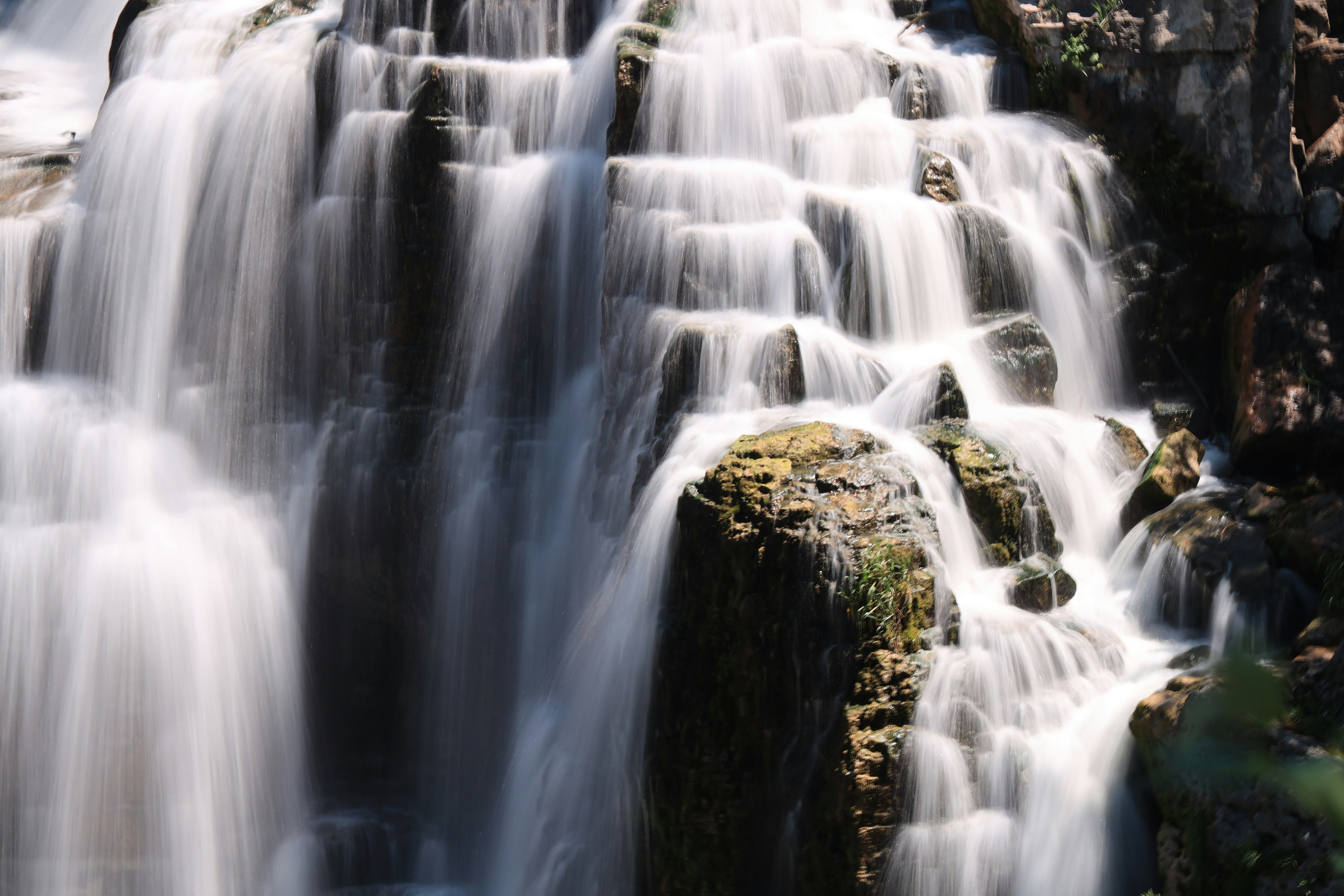 Photo by richardworks