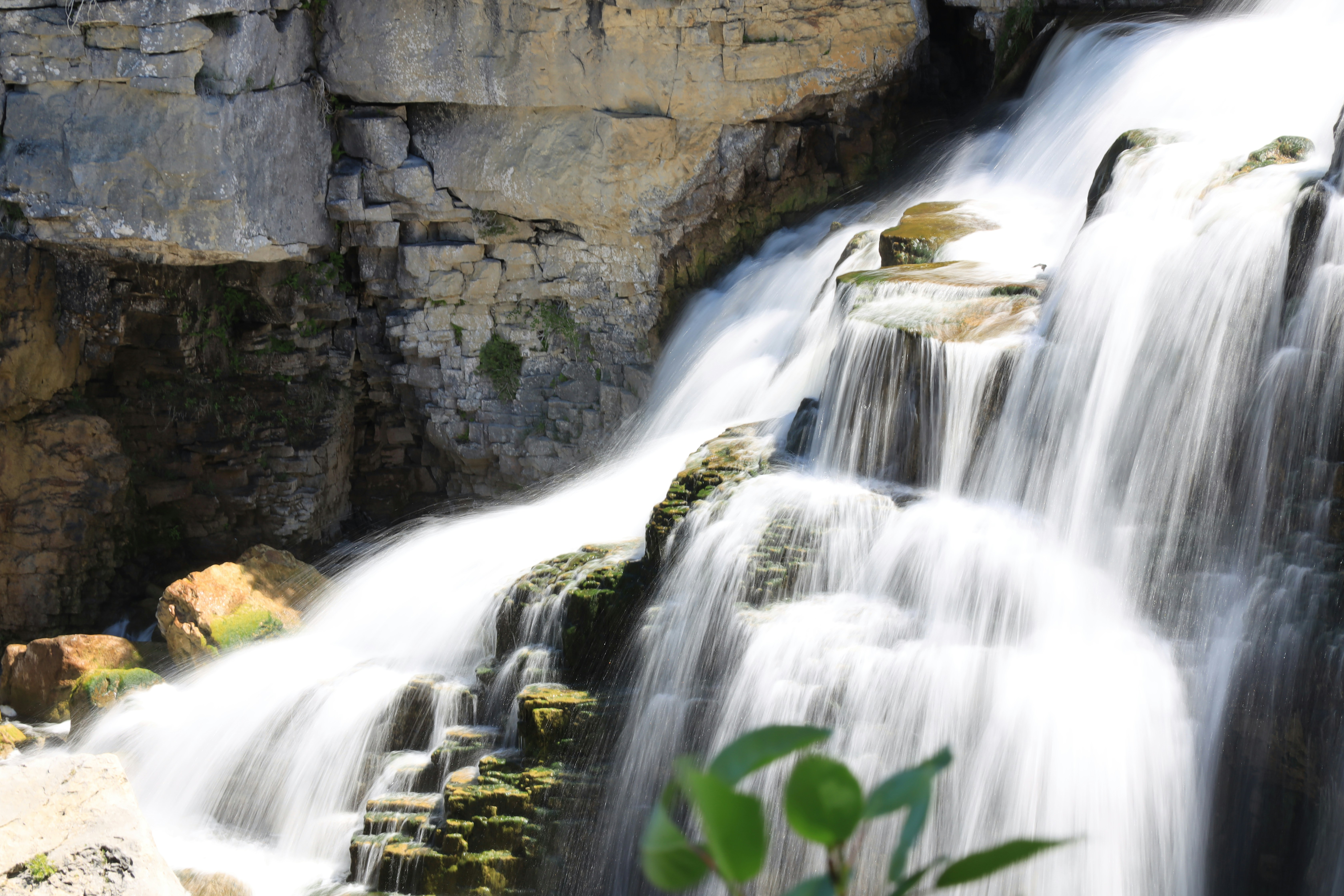 Photo by richardworks