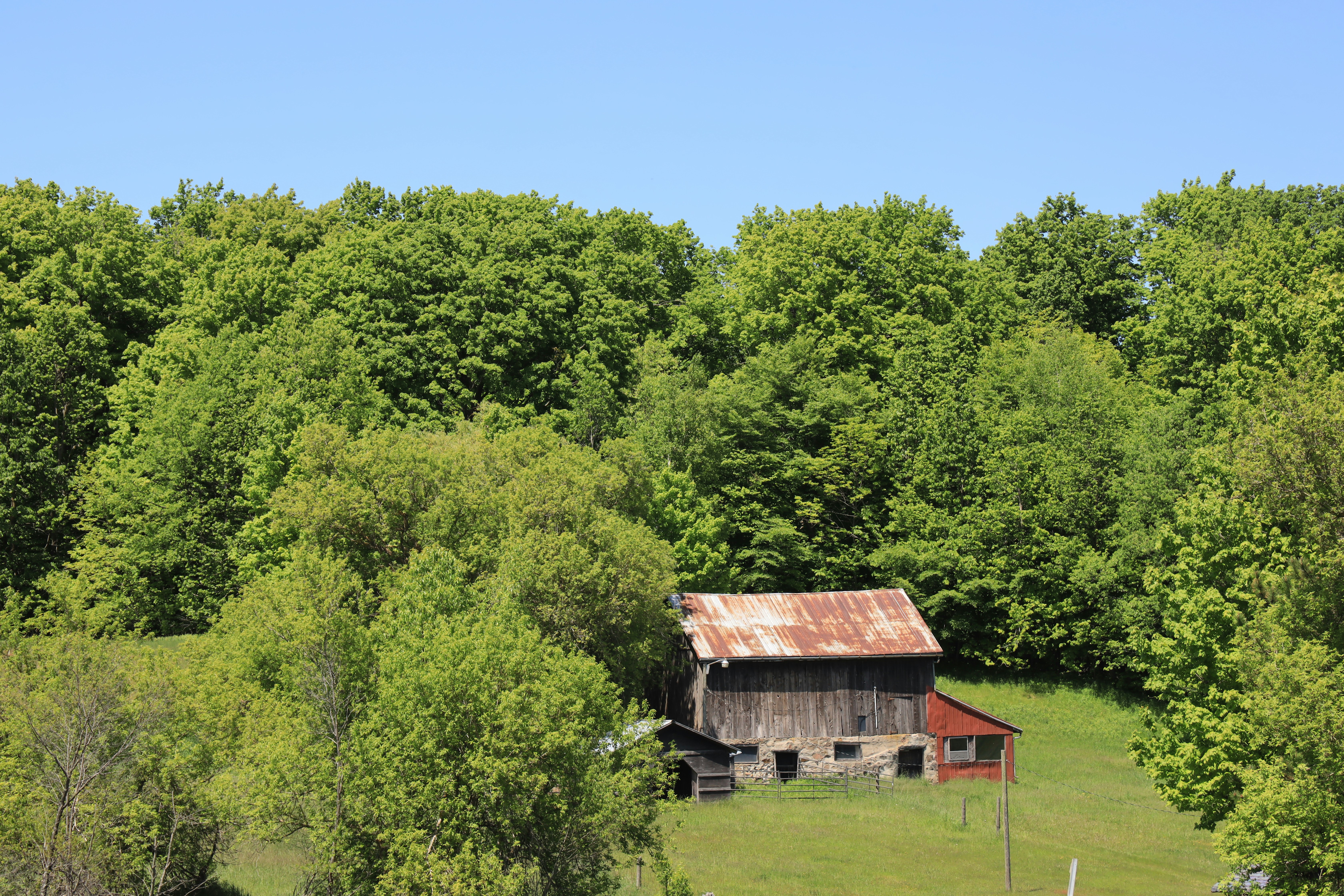 Photo by richardworks