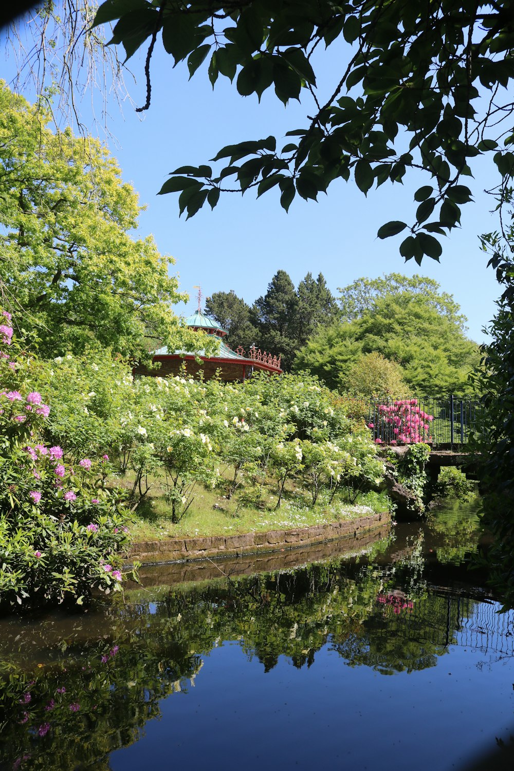 green trees beside river during daytime