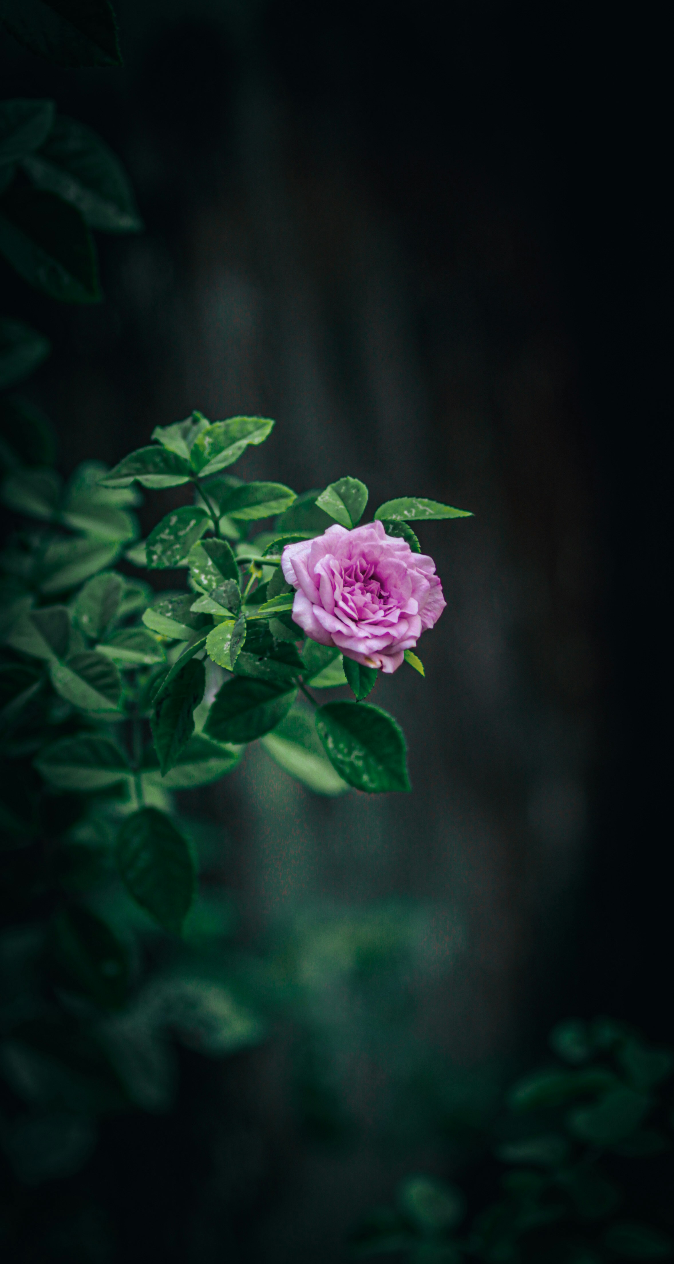 Photo by sunshine5411