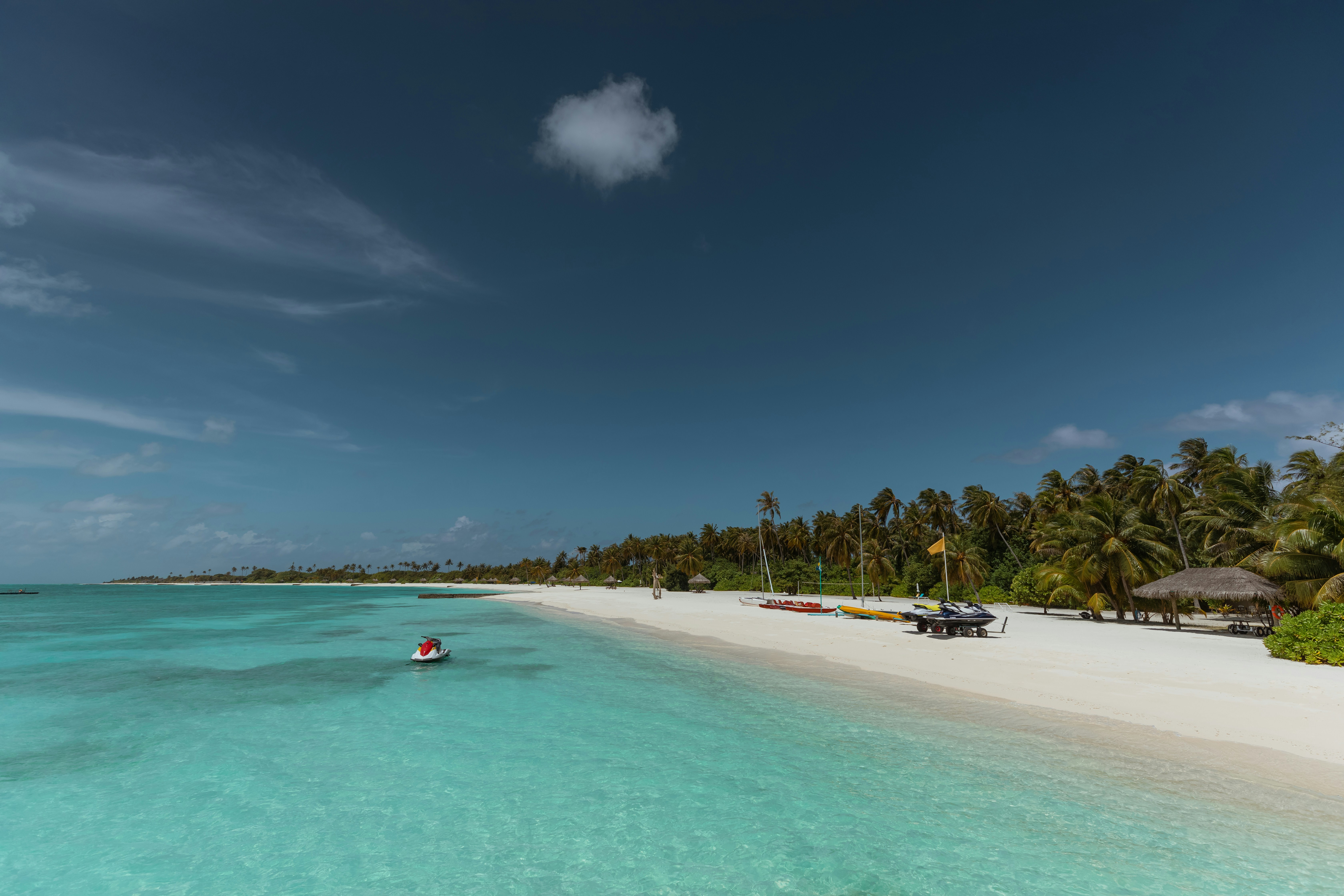 people on beach during daytime