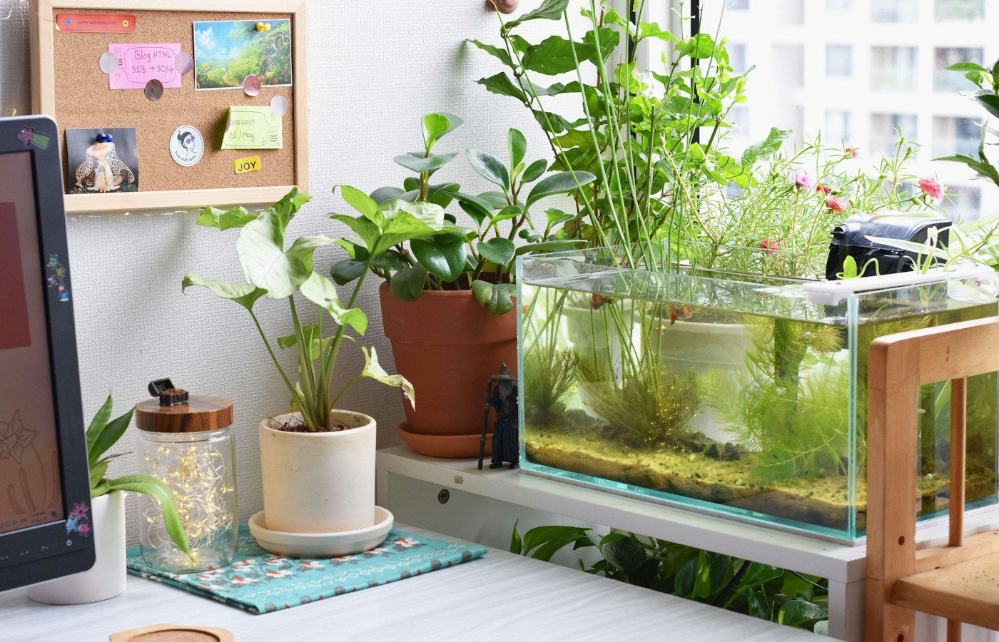 Một góc nước nhỏ, đúng chỗ bàn của bạn