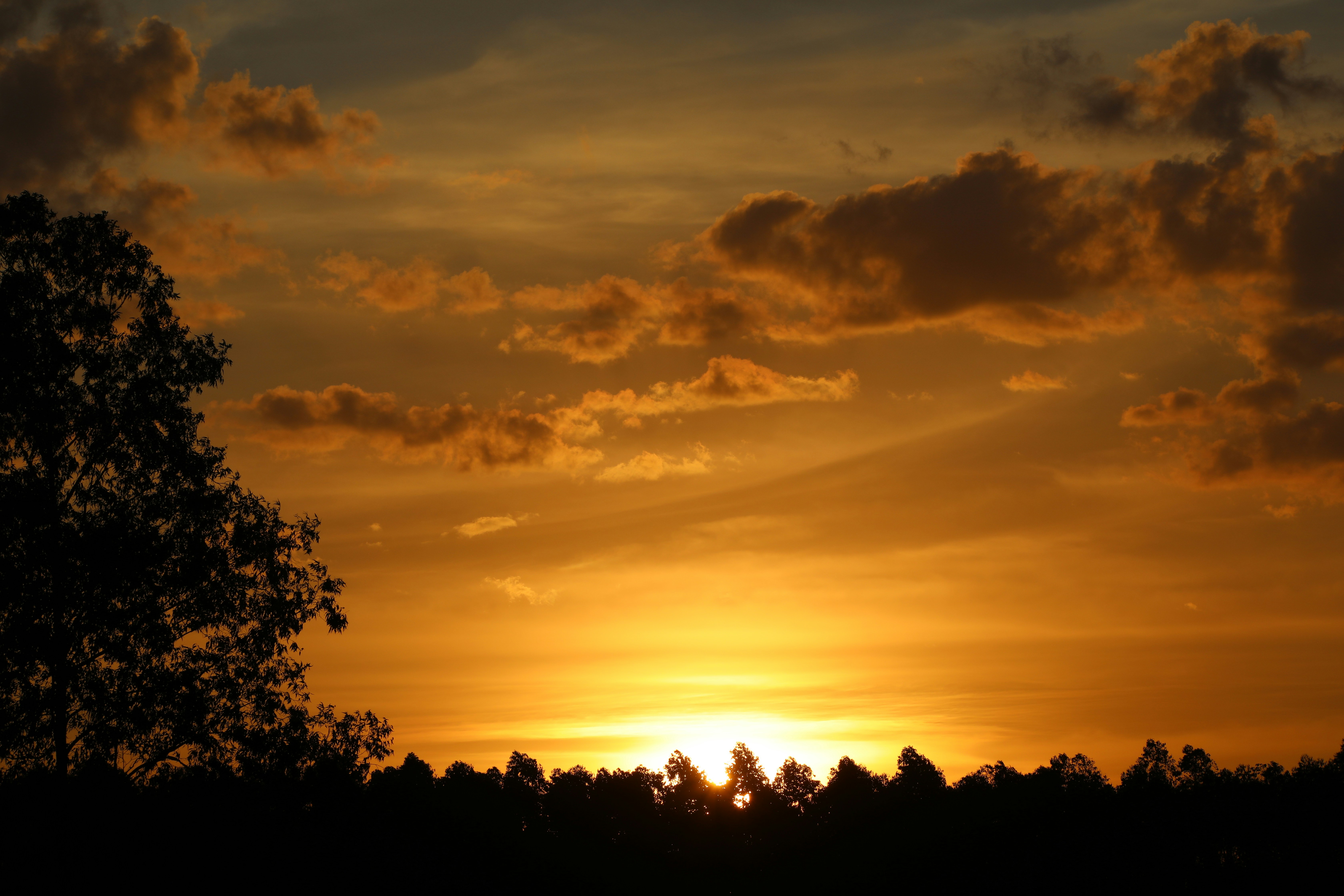 Photo by marcusdallcol