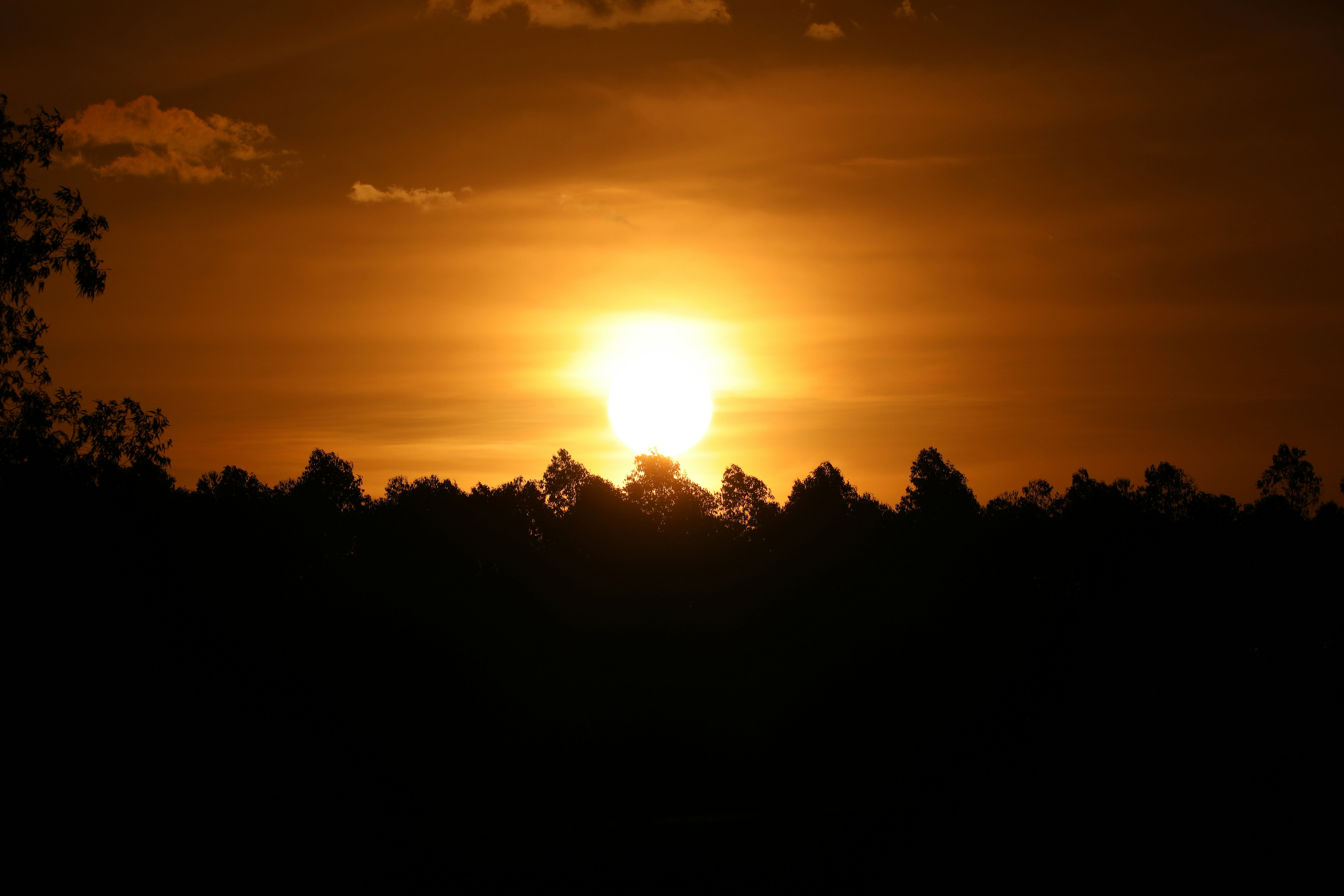 Photo by marcusdallcol