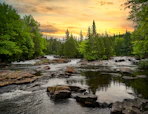 green pine trees beside river during daytime