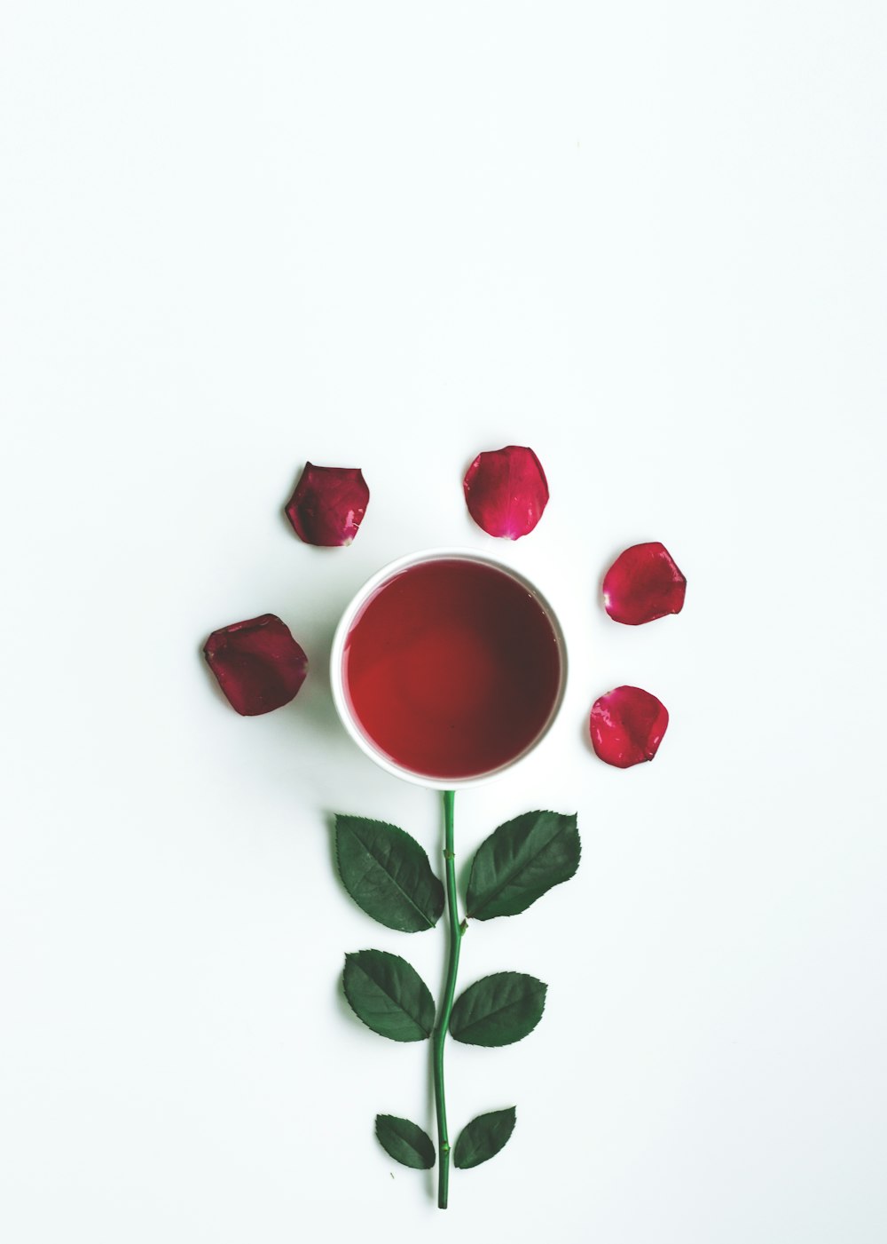 a rose with a cup of tea on a white background