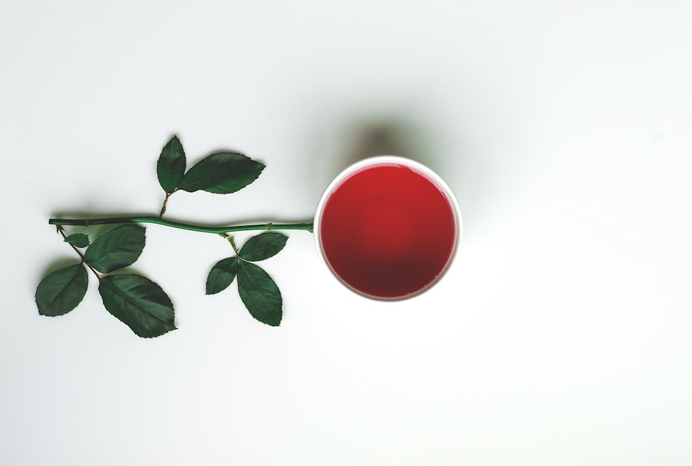un vase rouge aux feuilles vertes sur fond blanc