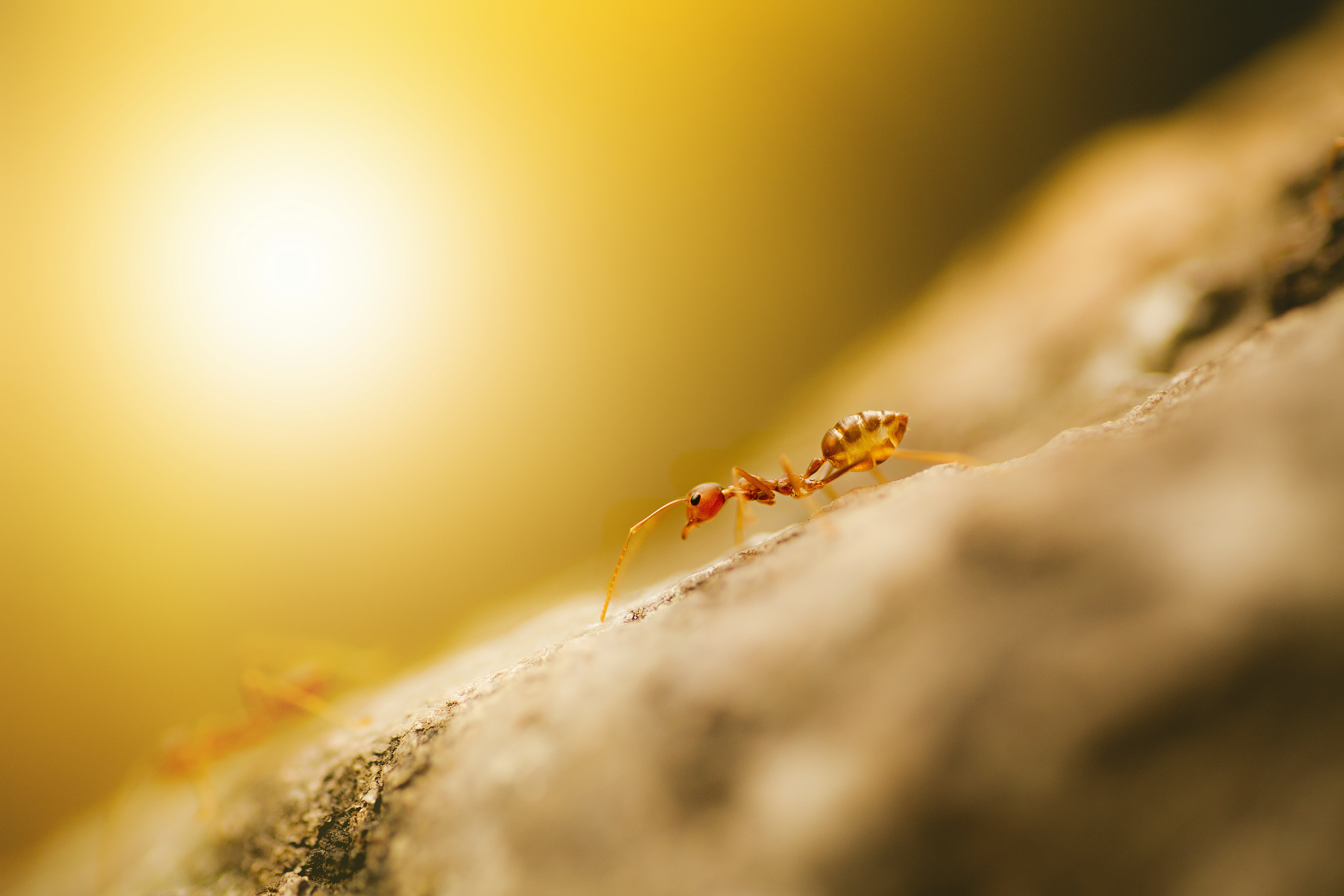 Photo by rajat_sarki