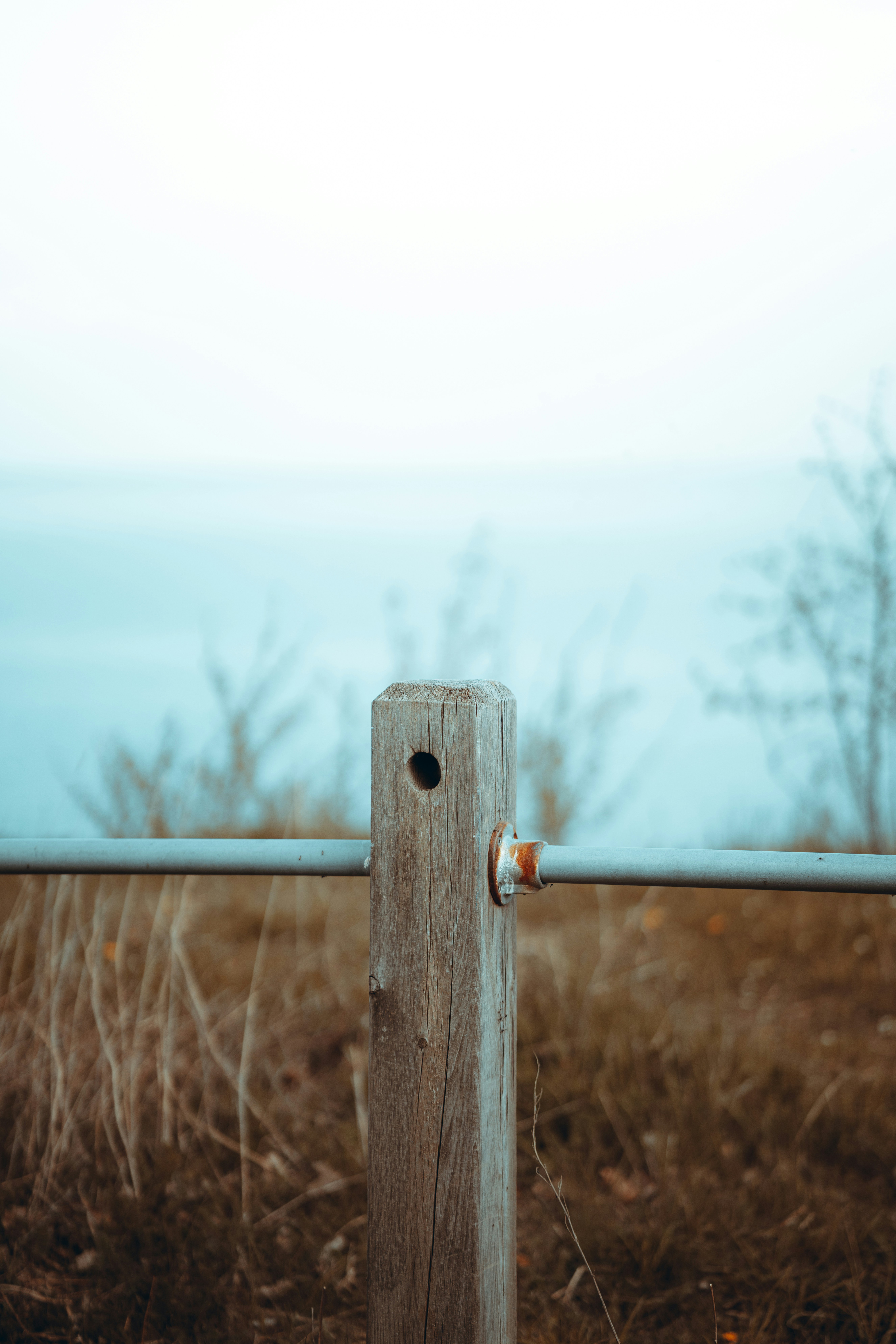 Photo by nikhilmitra