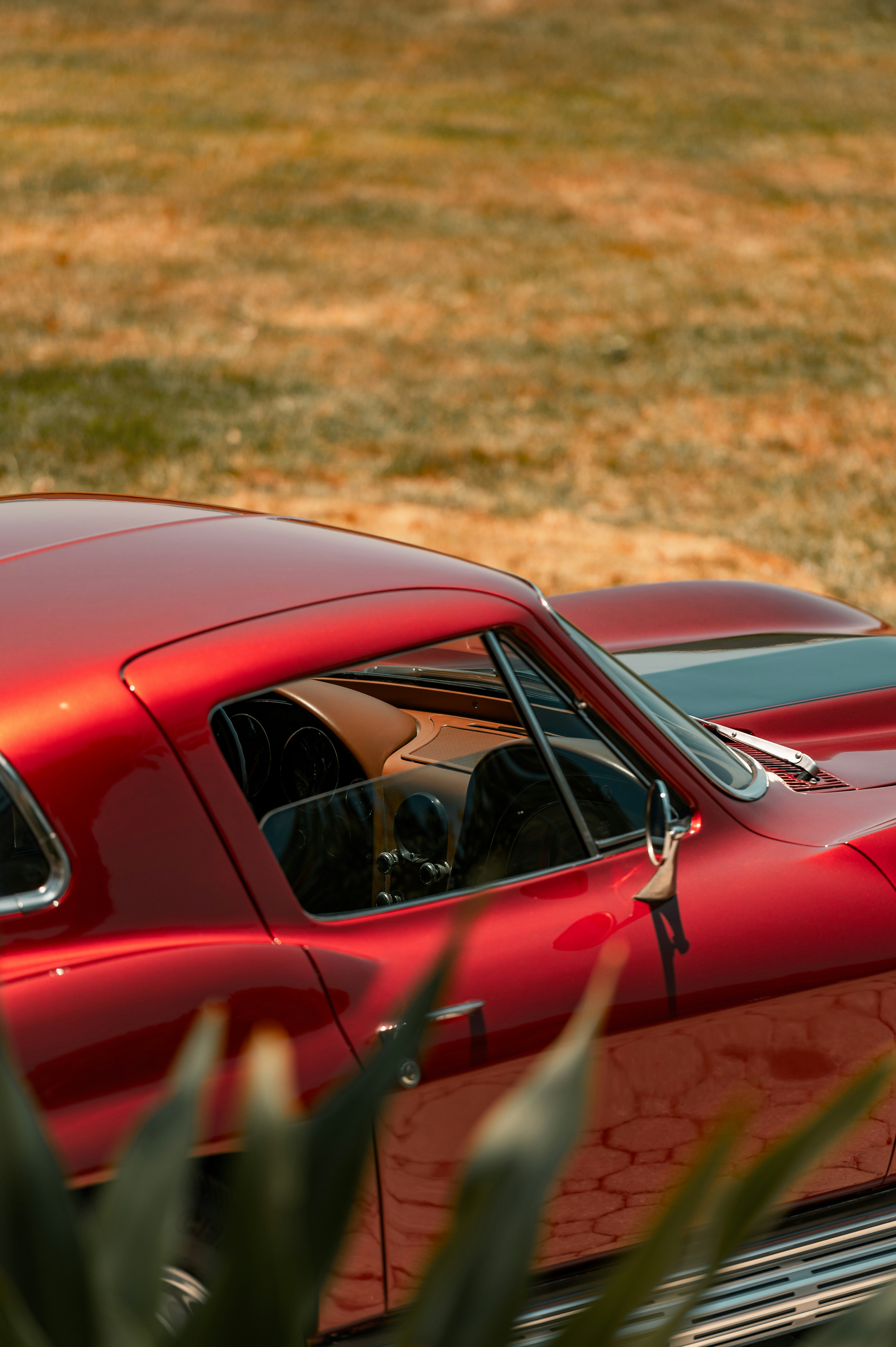 red car on brown field during daytime