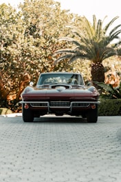 A clean car parked in a sunny driveway surrounded by greenery.