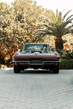 A clean, shiny car parked in a sunlit driveway surrounded by greenery.